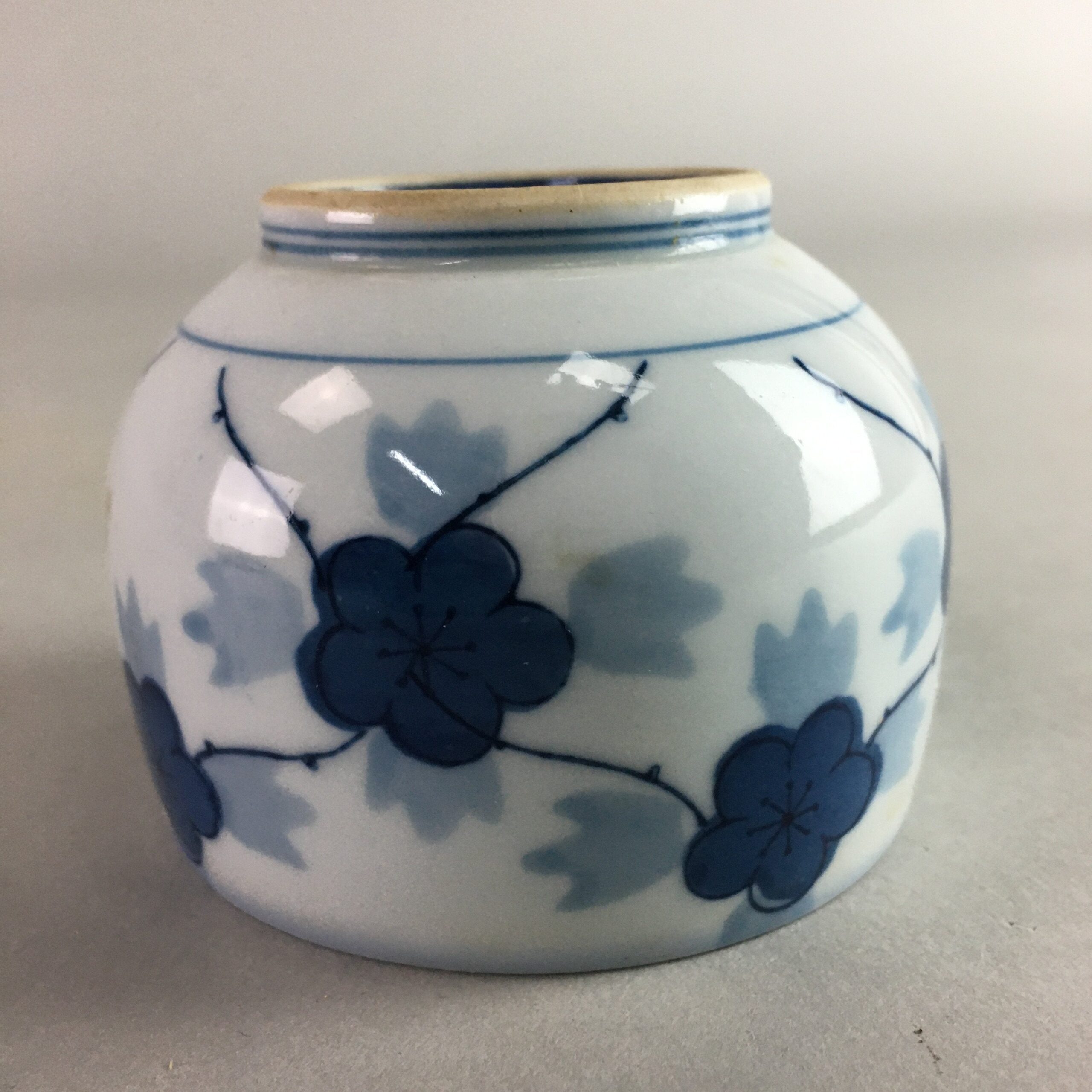 Japanese Porcelain Sake Cup Vtg Guinomi Sakazuki Blue White Sometsuke GU665