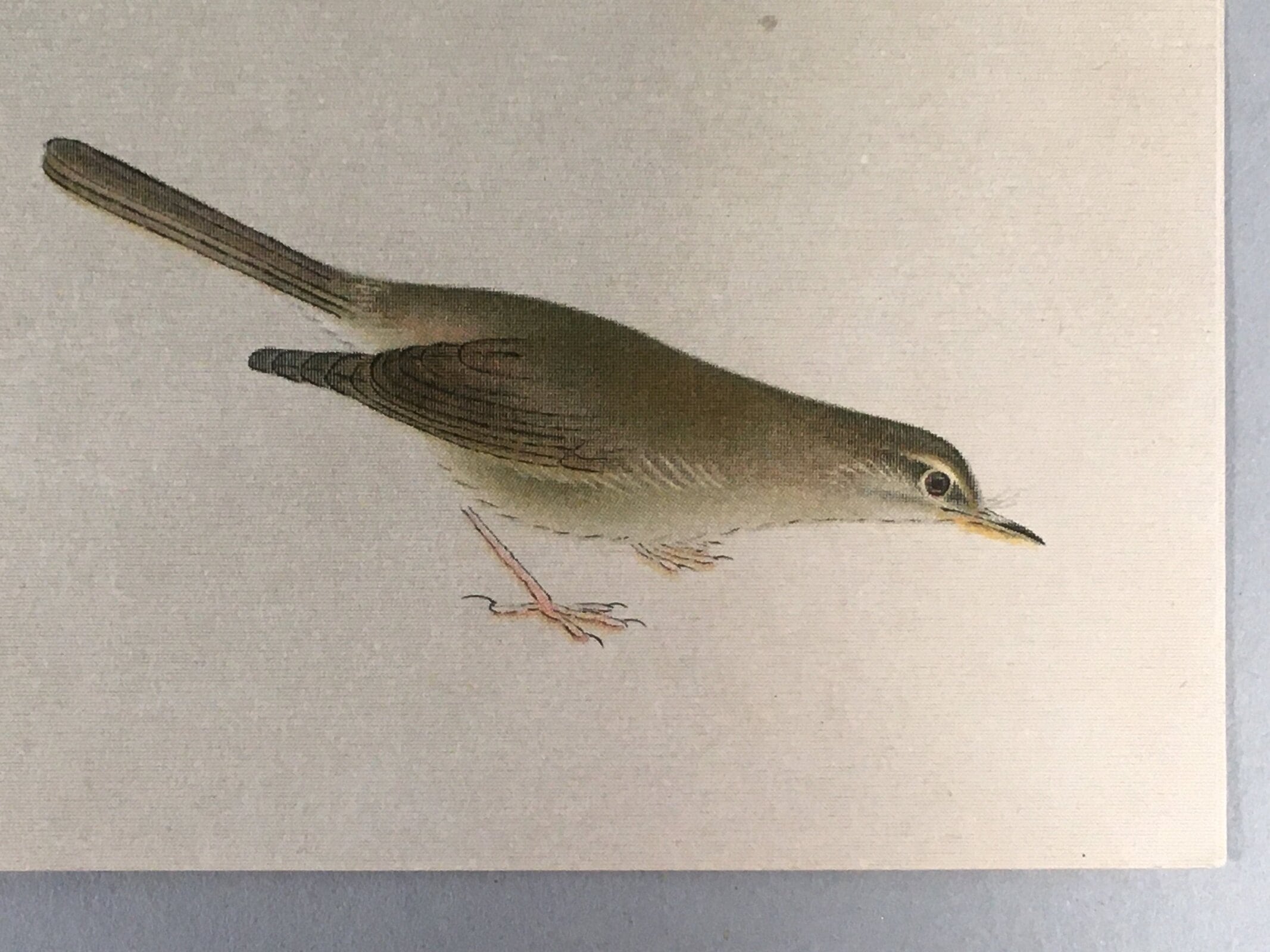 Japanese Print Drawing Painting Vtg Bamboo Leaf Bird P292