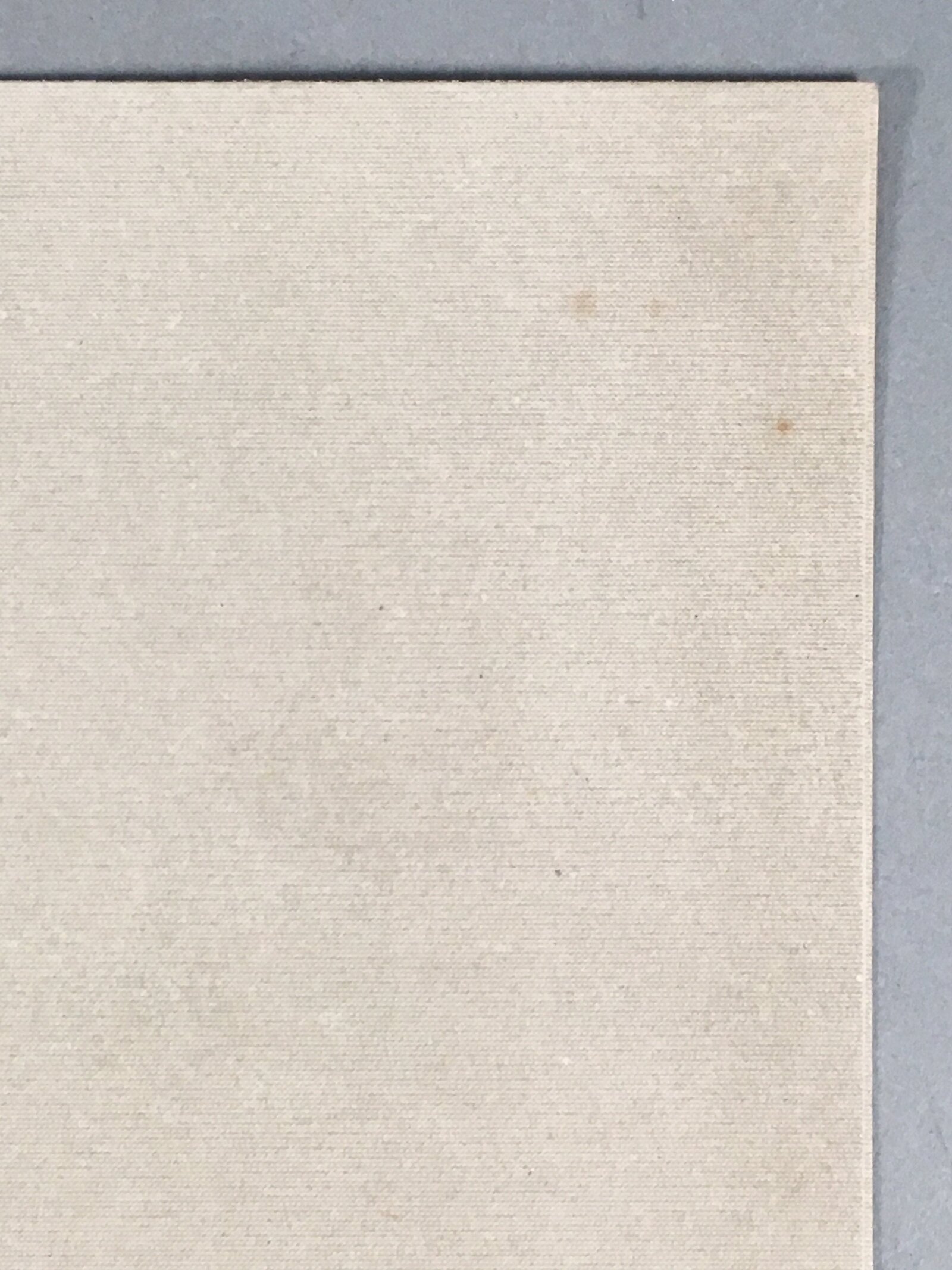 Japanese Print Drawing Painting Vtg Bamboo Leaf Bird P292