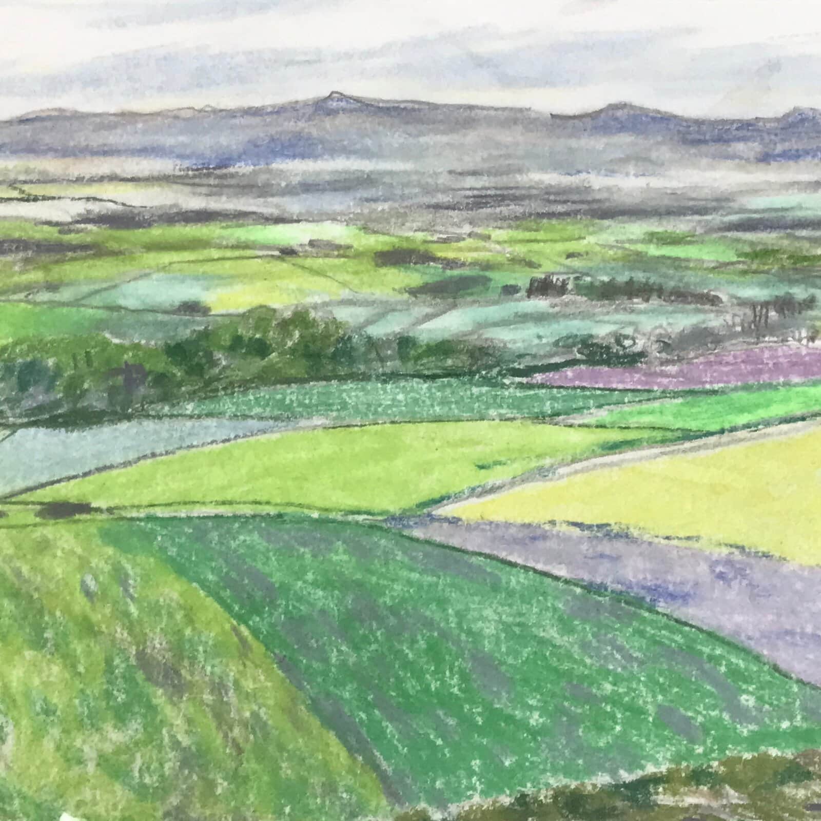 Japanese Rice Field Landscape Pastel Drawing Art Signed Yoshihiro Hagino FL346