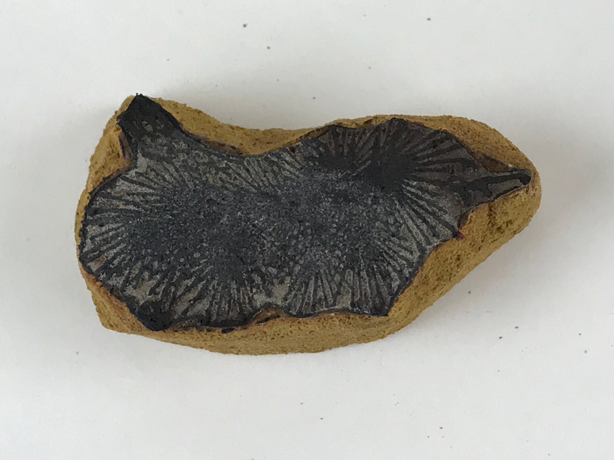 Japanese Rubber Stamp Pine Tree Branch Vtg Matsu Sponge Base Stationary HS203