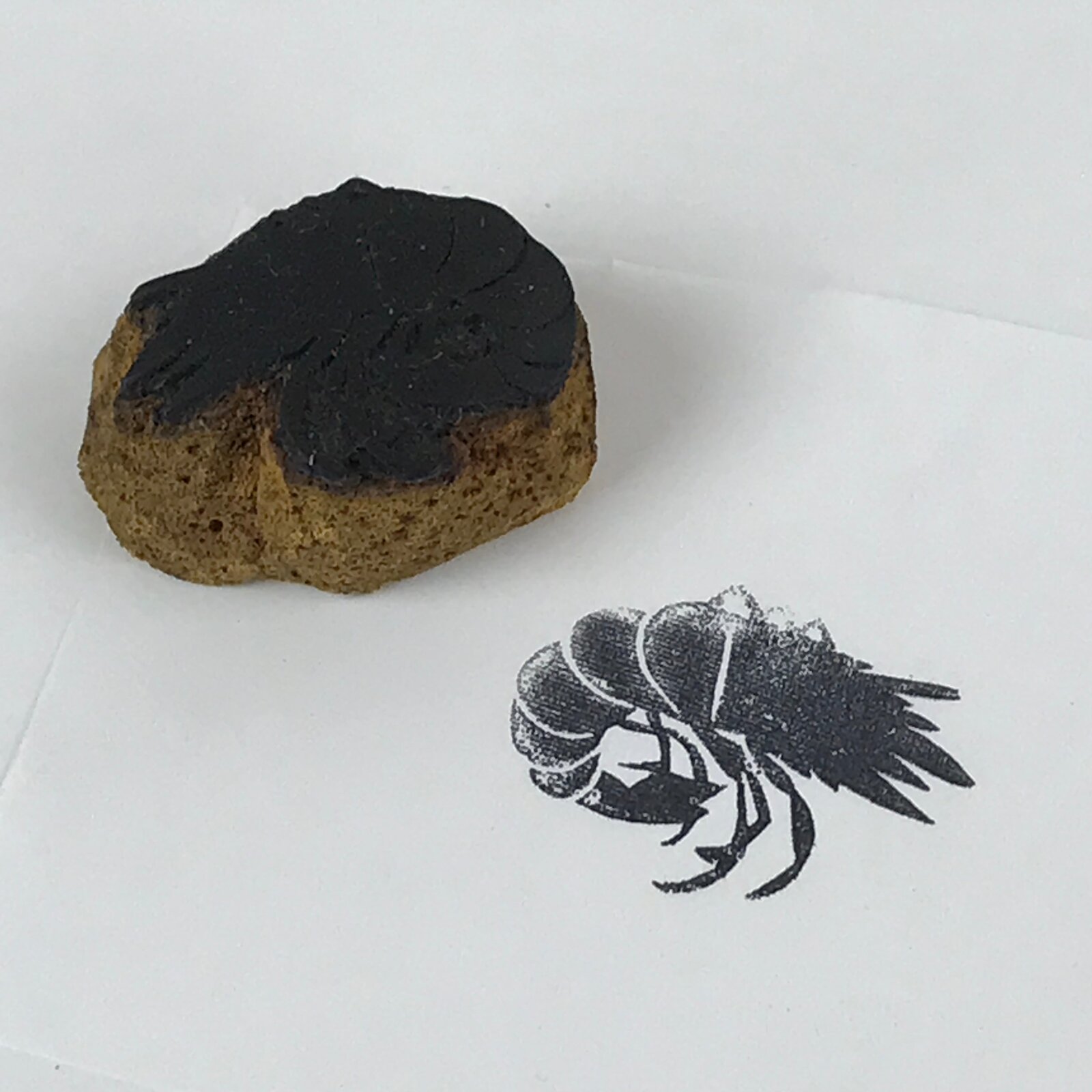 Japanese Rubber Stamp Prawn Shrimp Vtg Ebi Sponge Base Stationary HS235