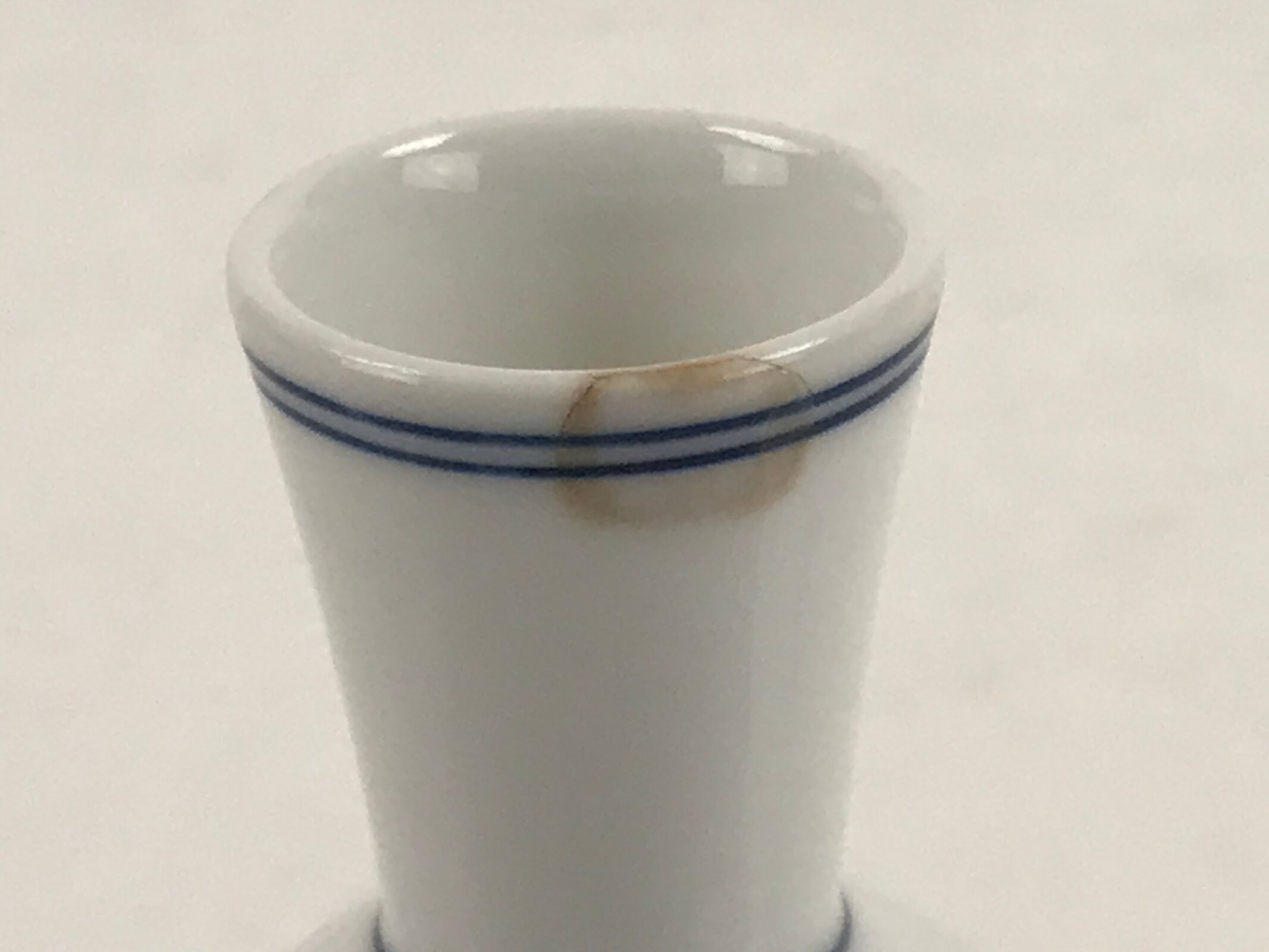 Japanese Sake Bottle Porcelain Tokkuri Vtg Atomic Plum Blossoms White Blue TS683