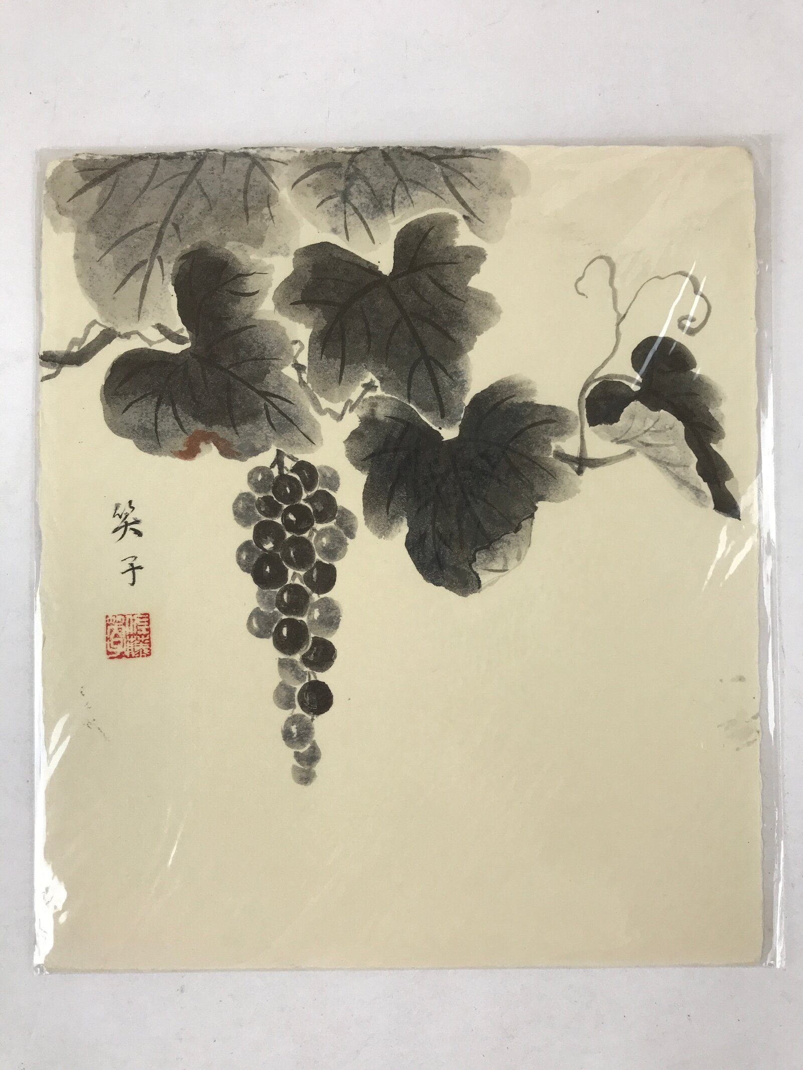Japanese Shikishi Art Board Grapevine Vtg Black Ink Washi Paper Monochrome A544