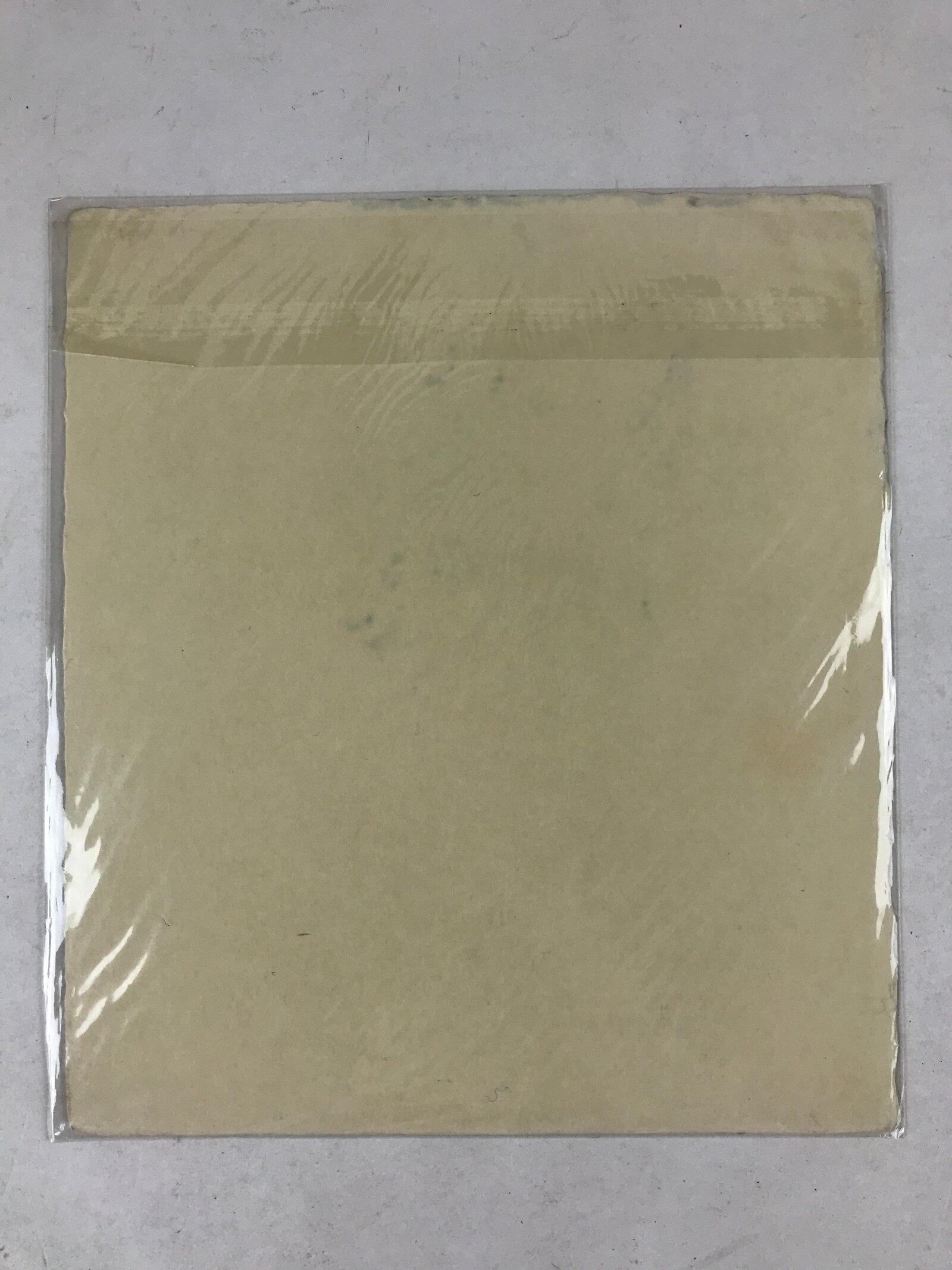 Japanese Shikishi Art Board Grapevine Vtg Black Ink Washi Paper Monochrome A544