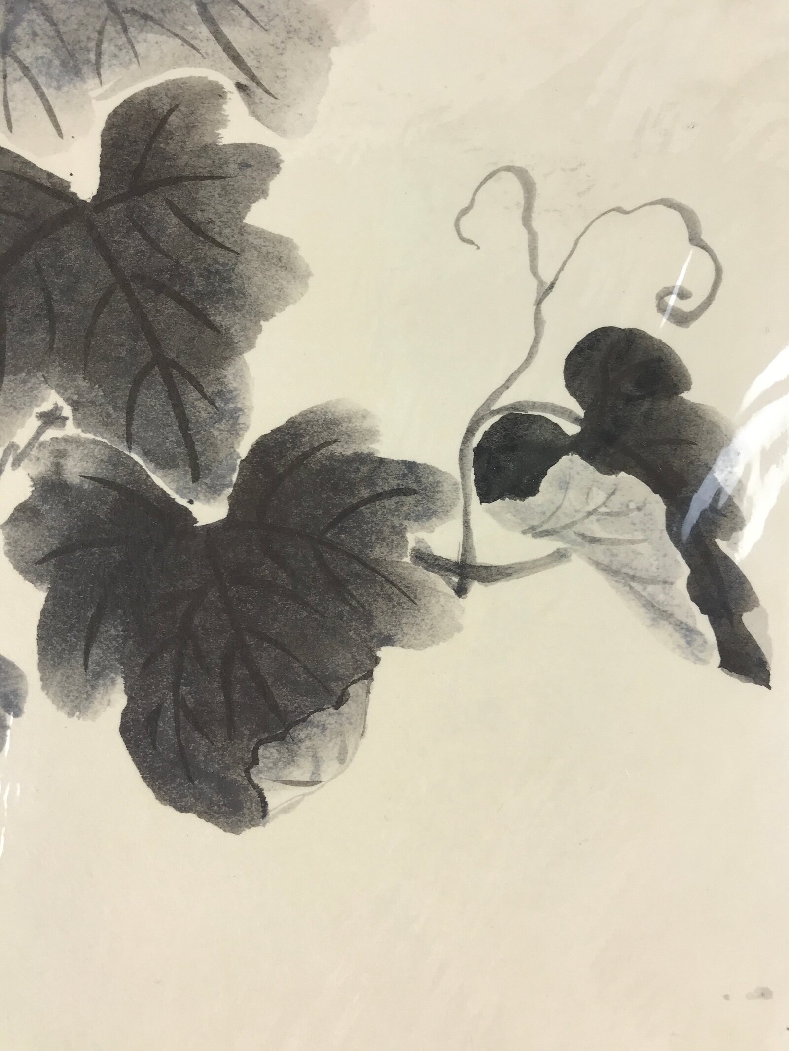 Japanese Shikishi Art Board Grapevine Vtg Black Ink Washi Paper Monochrome A544