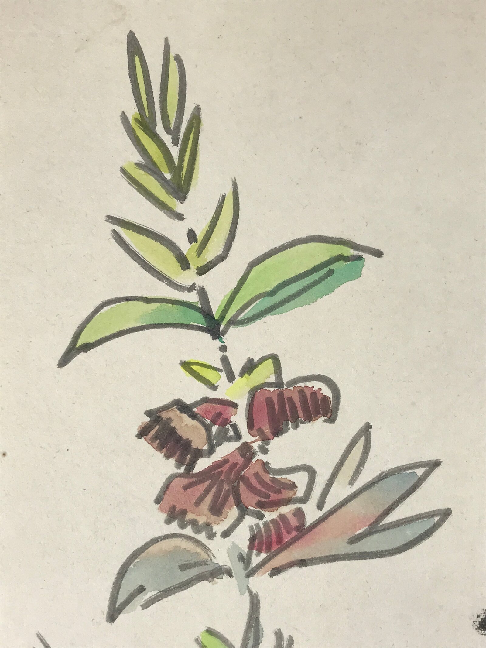 Japanese Shikishi Art Board Painting Flowers Green Red Blue With Black Text A601