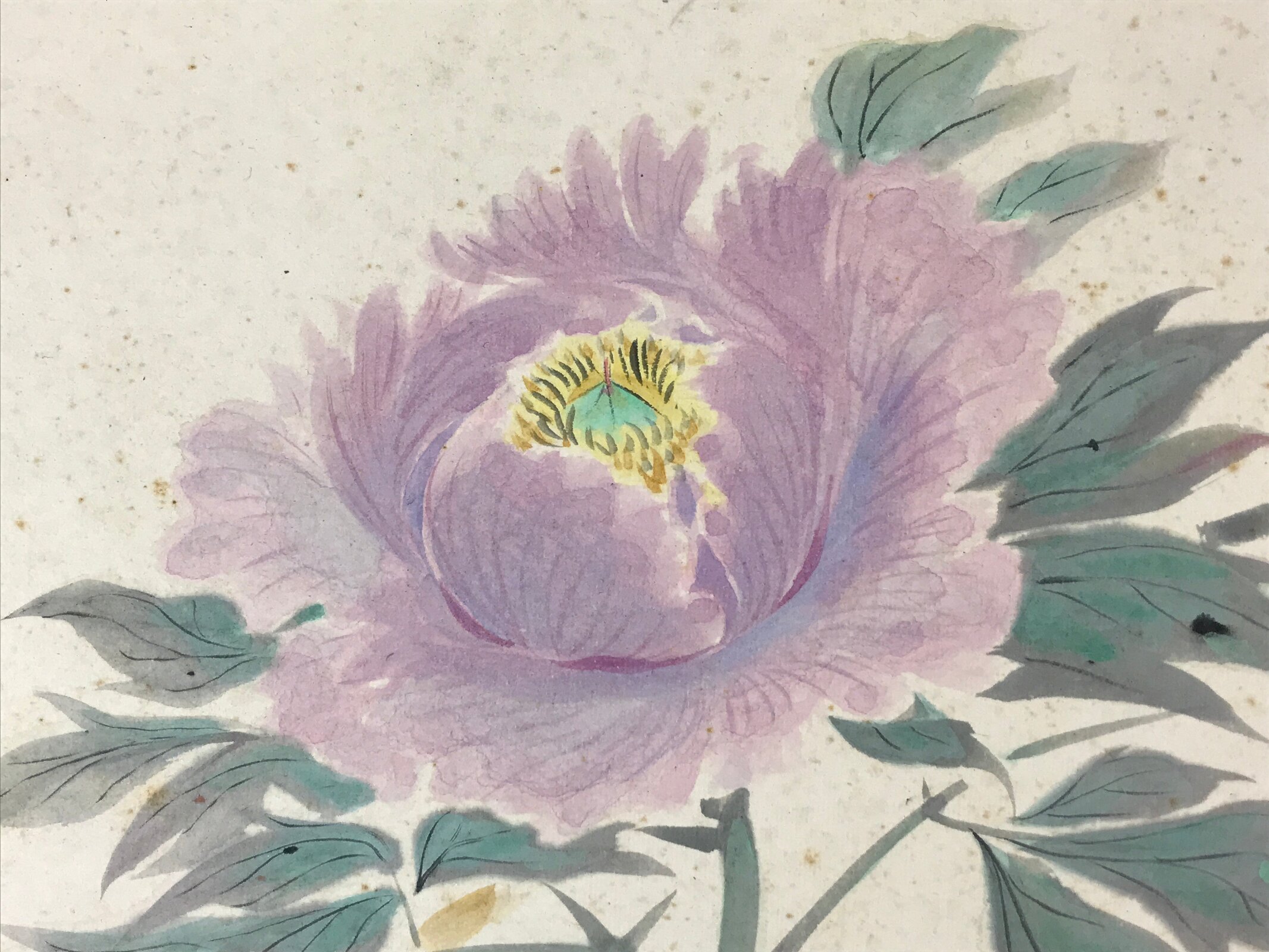 Japanese Shikishi Art Board Painting Purple Peony Pastel Green Flowers A598