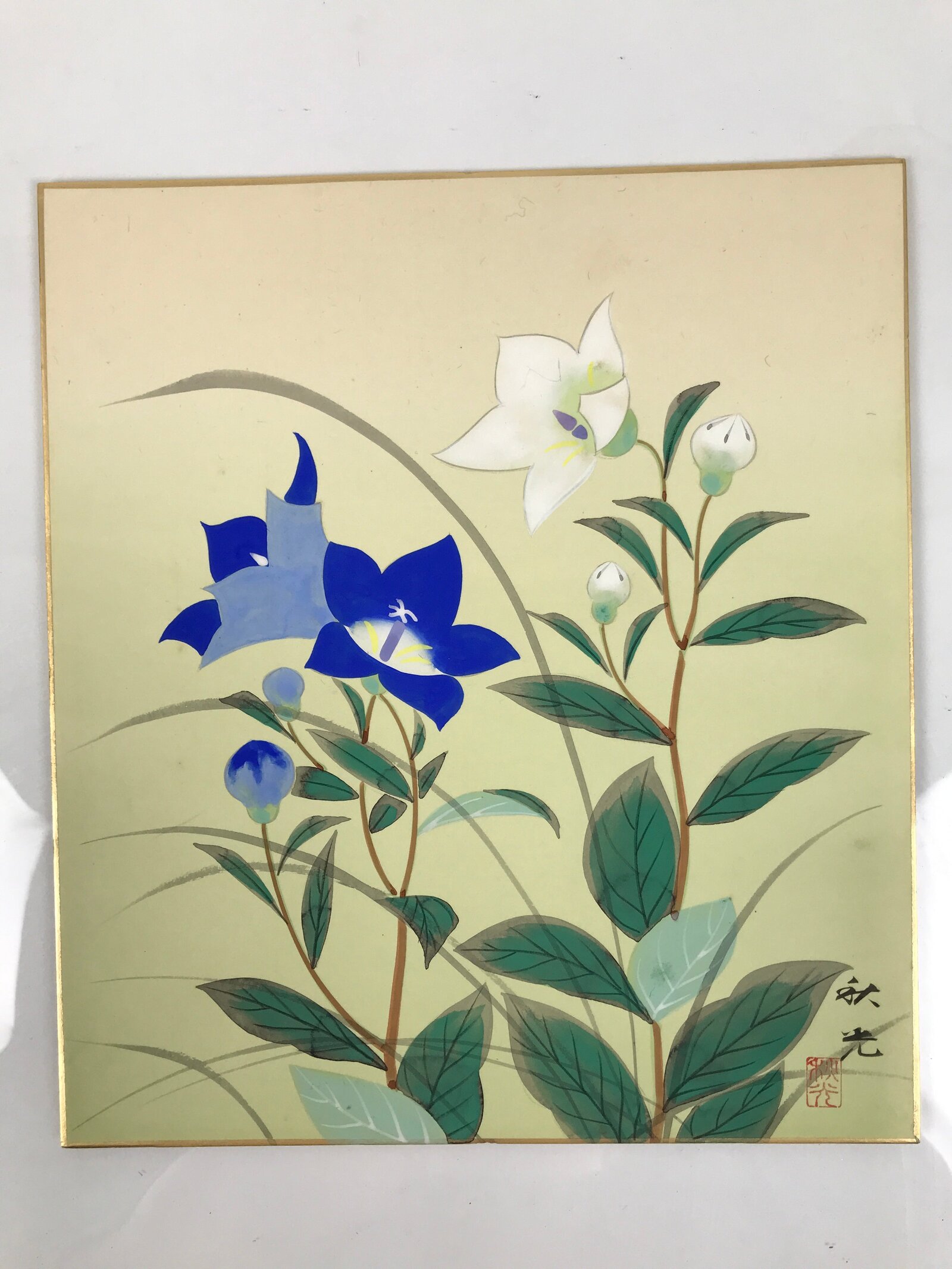 Japanese Shikishi Art Board Painting Vtg Bell Flower Kikyo Blue White Green A819