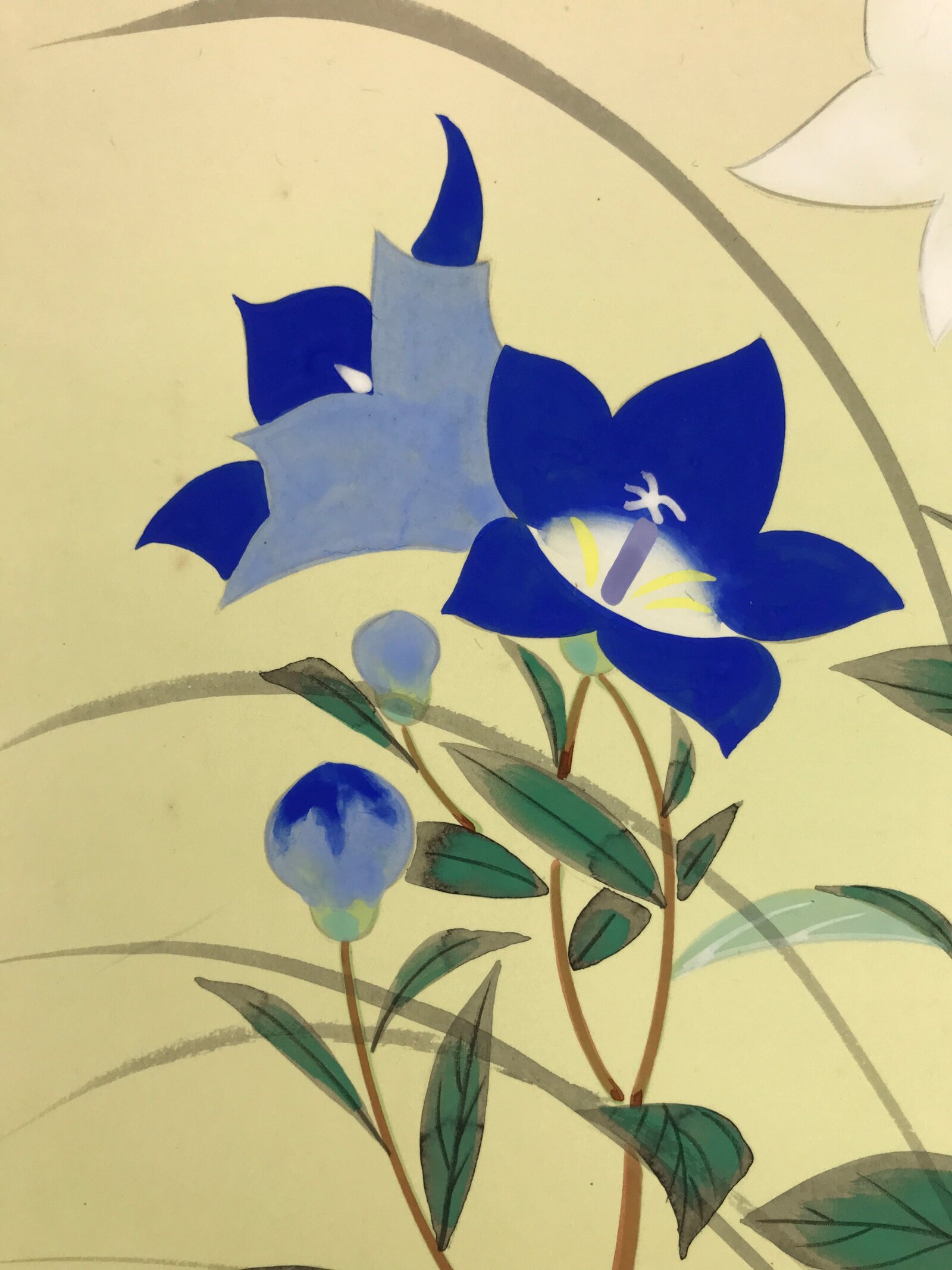Japanese Shikishi Art Board Painting Vtg Bell Flower Kikyo Blue White Green A819
