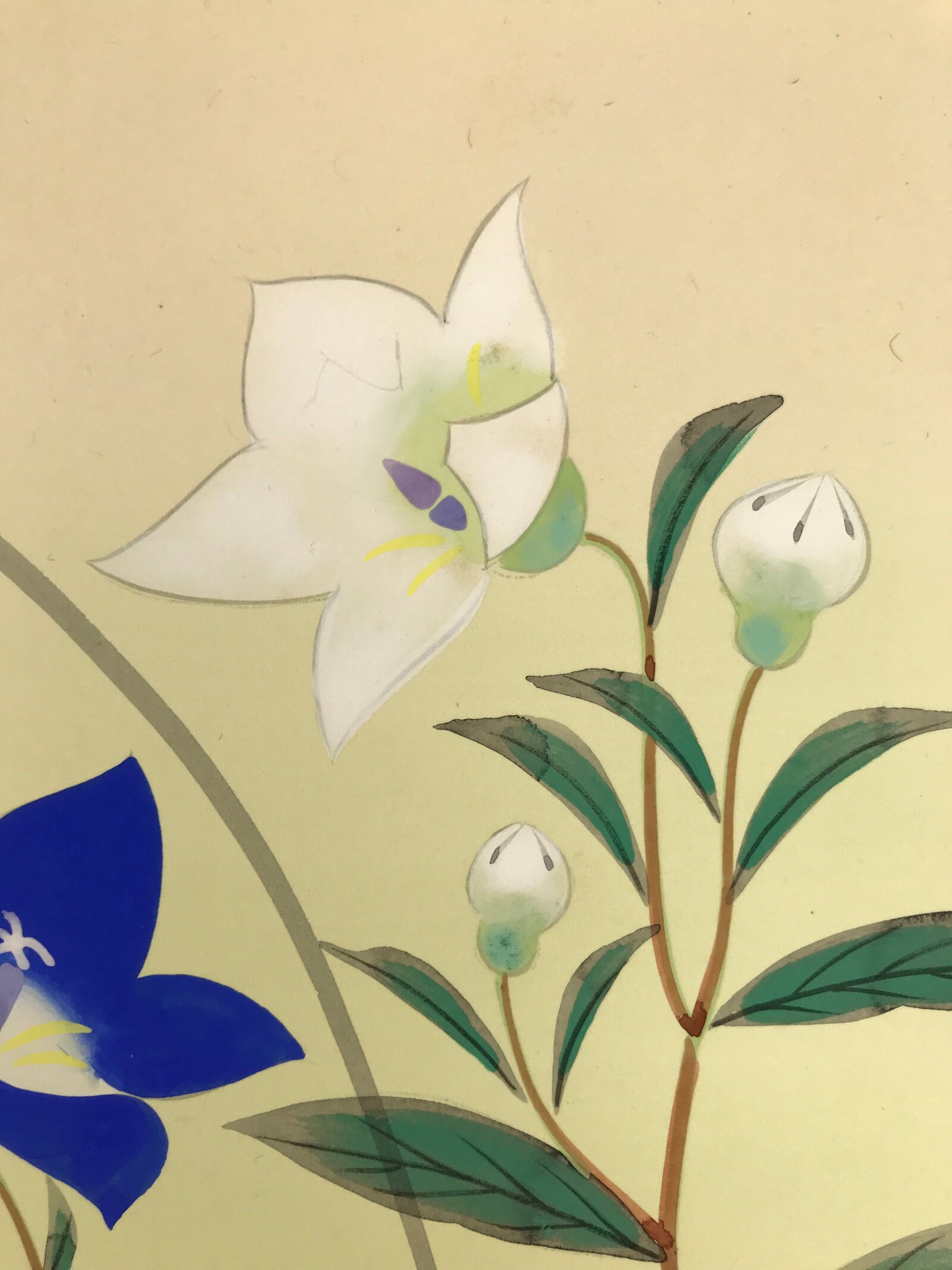 Japanese Shikishi Art Board Painting Vtg Bell Flower Kikyo Blue White Green A819