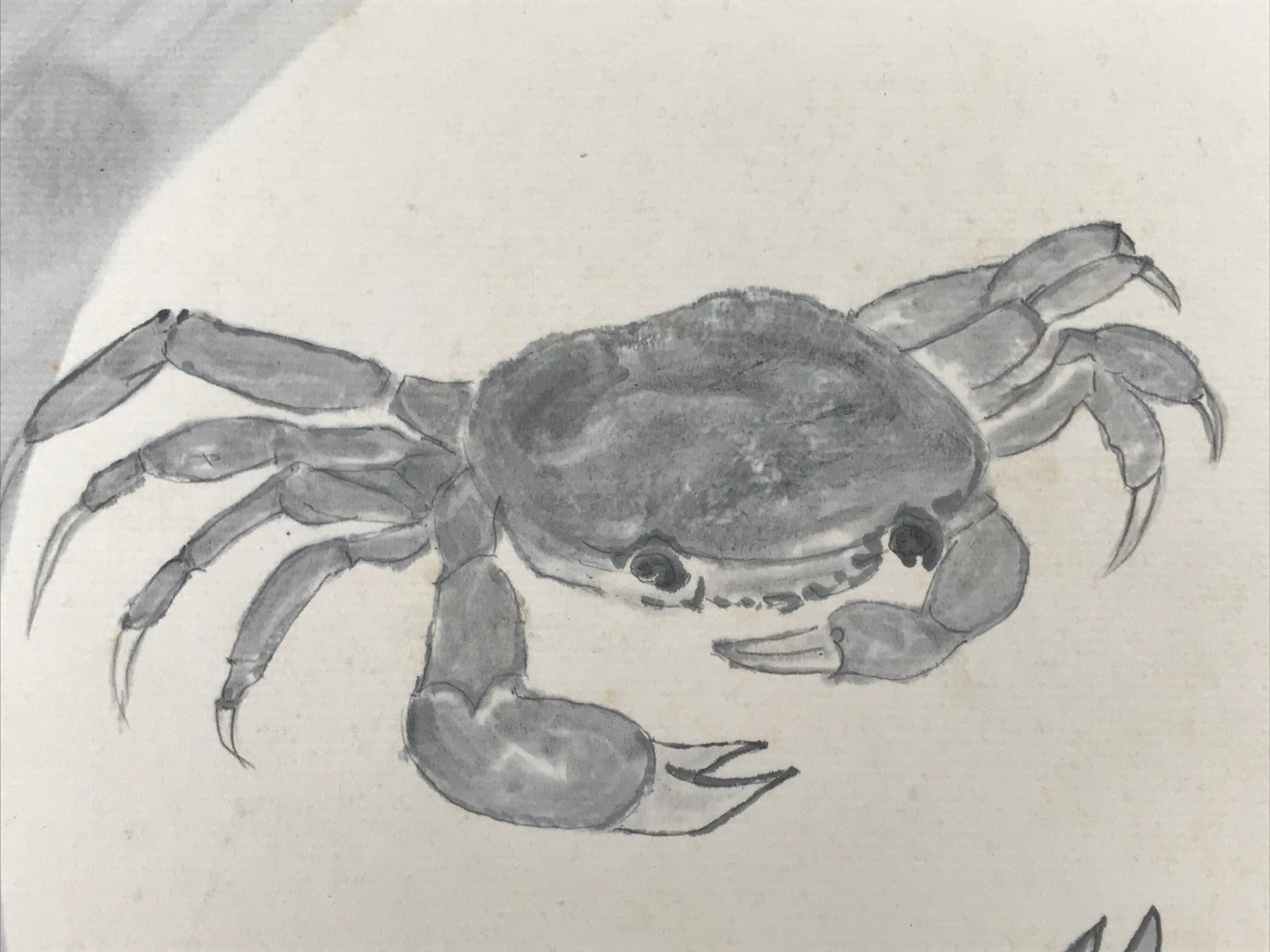 Japanese Shikishi Art Board Painting Vtg Crab Gray White Black Sumie Family A717