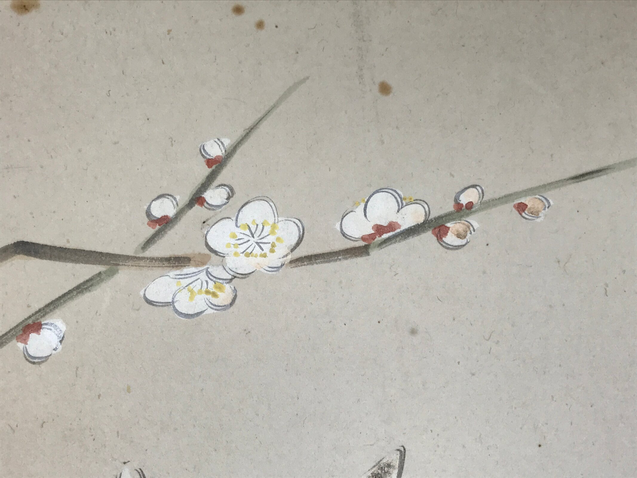 Japanese Shikishi Art Board Painting Vtg Rabbit Eto Zodiac Plum Flower A689