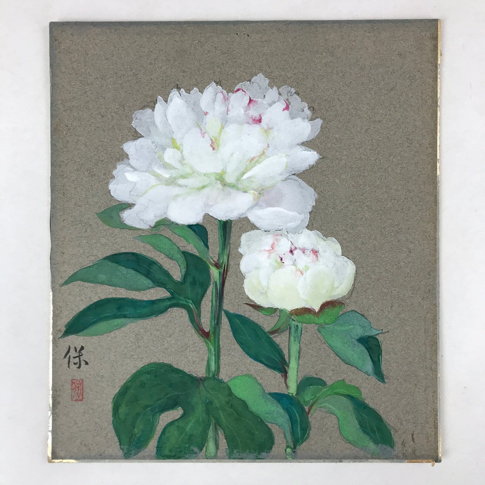 Japanese Shikishi Art Board Painting White Peony Flowers Green Nature A587