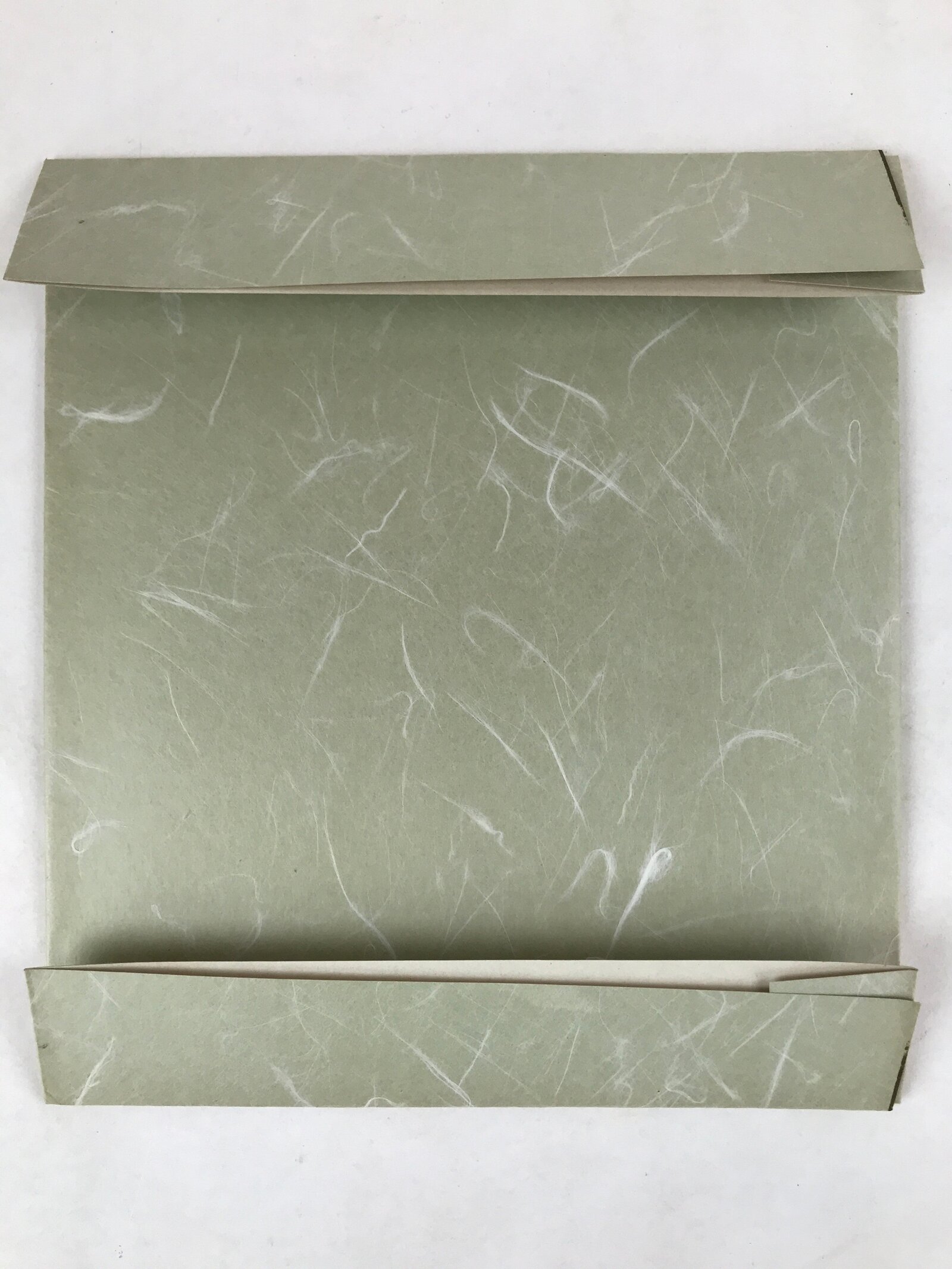 Japanese Shikishi Art Board Reproduction Rakan Tomioka Tessai Monk Tiger A637