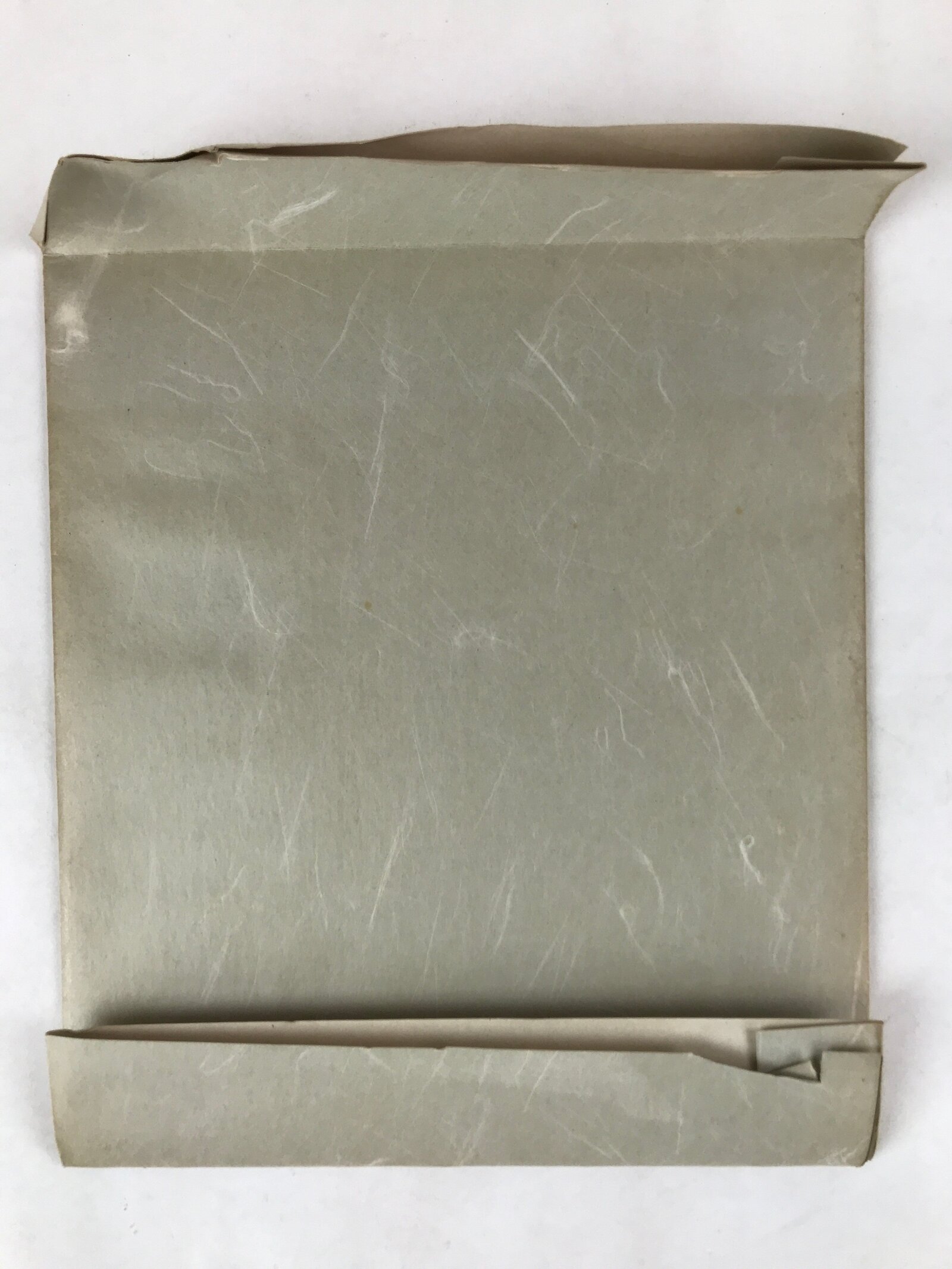 Japanese Shikishi Art Board Vtg Mikan Orange Fruit Blue Black Green A639