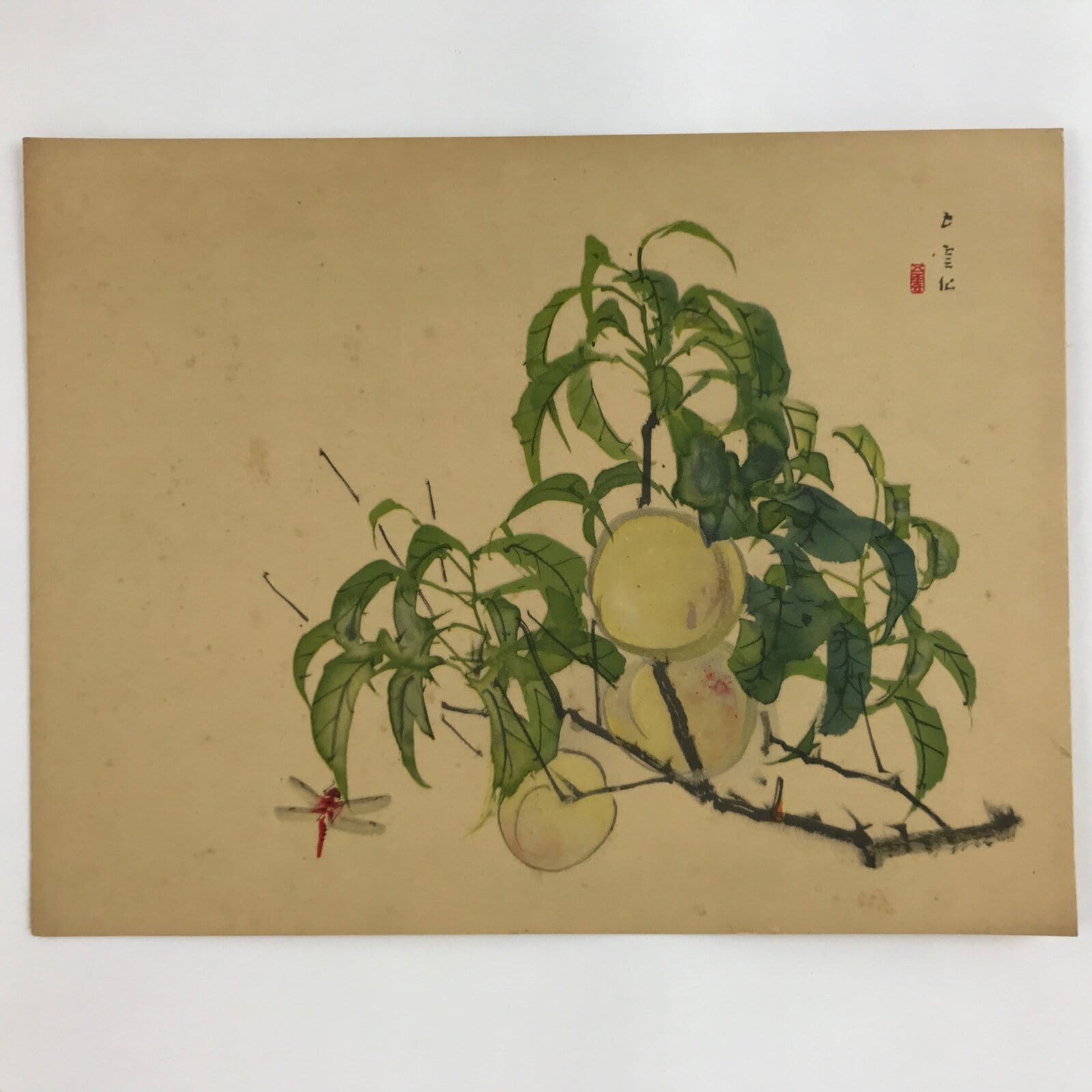 Japanese Shikishi Art Reproduction Nishimura Goun Peaches Of Imortality A647