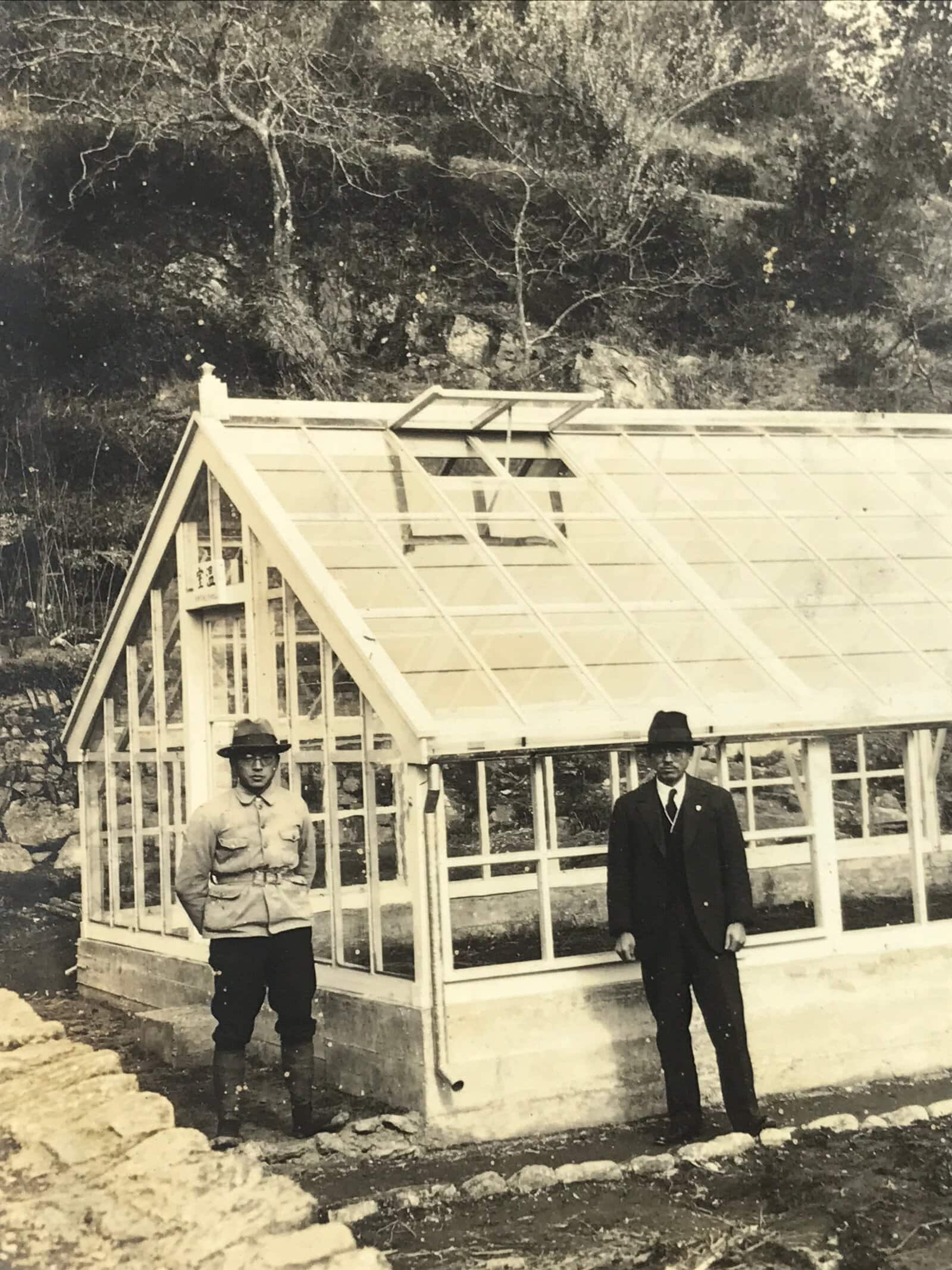 Japanese Showa Greenhouse Garden Photograph Vtg Daily Life Men Black White PH91