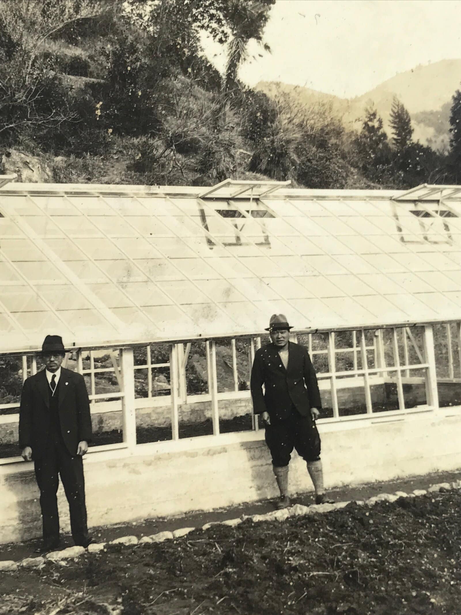 Japanese Showa Greenhouse Garden Photograph Vtg Daily Life Men Black White PH91