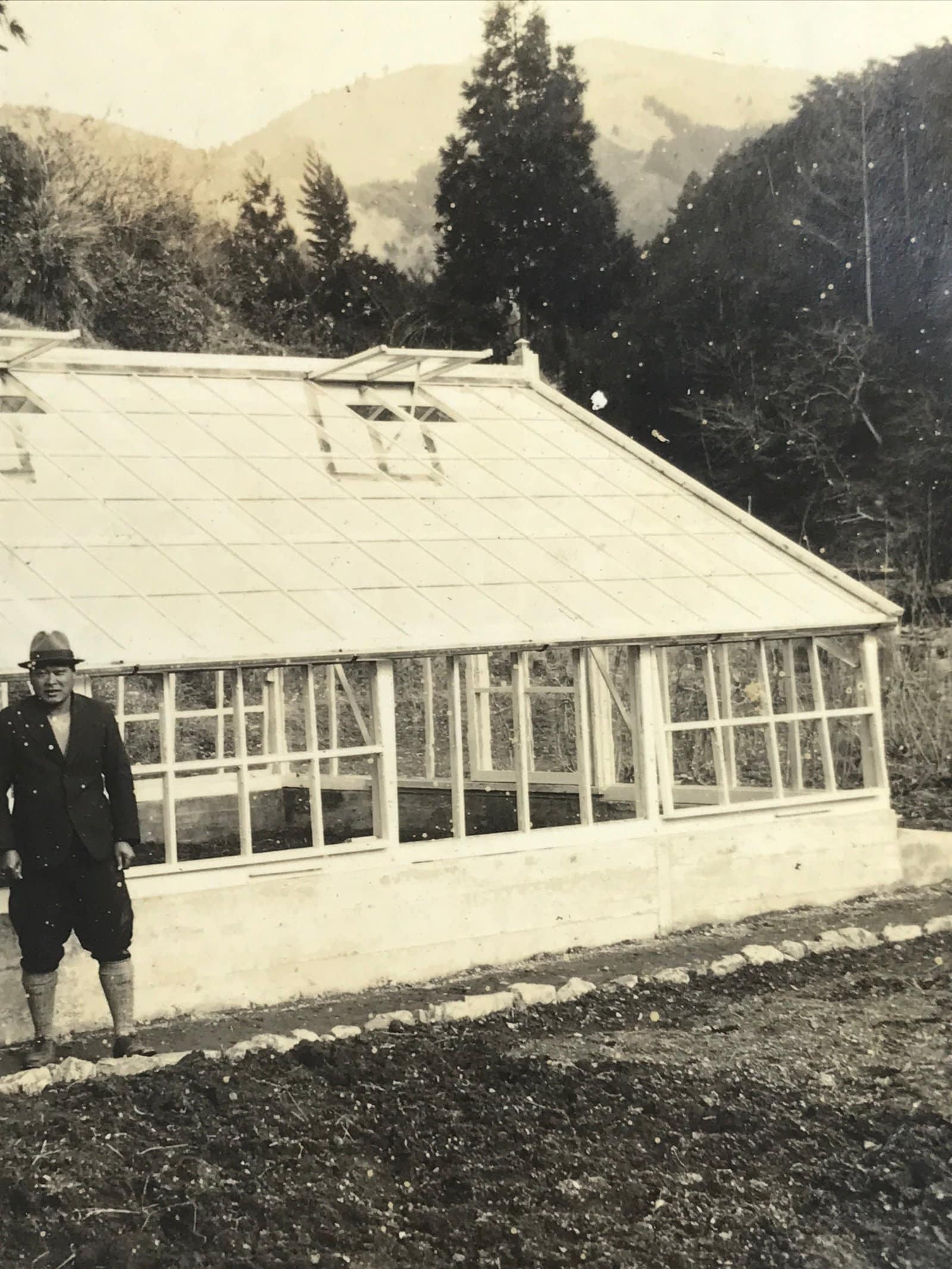 Japanese Showa Greenhouse Garden Photograph Vtg Daily Life Men Black White PH91
