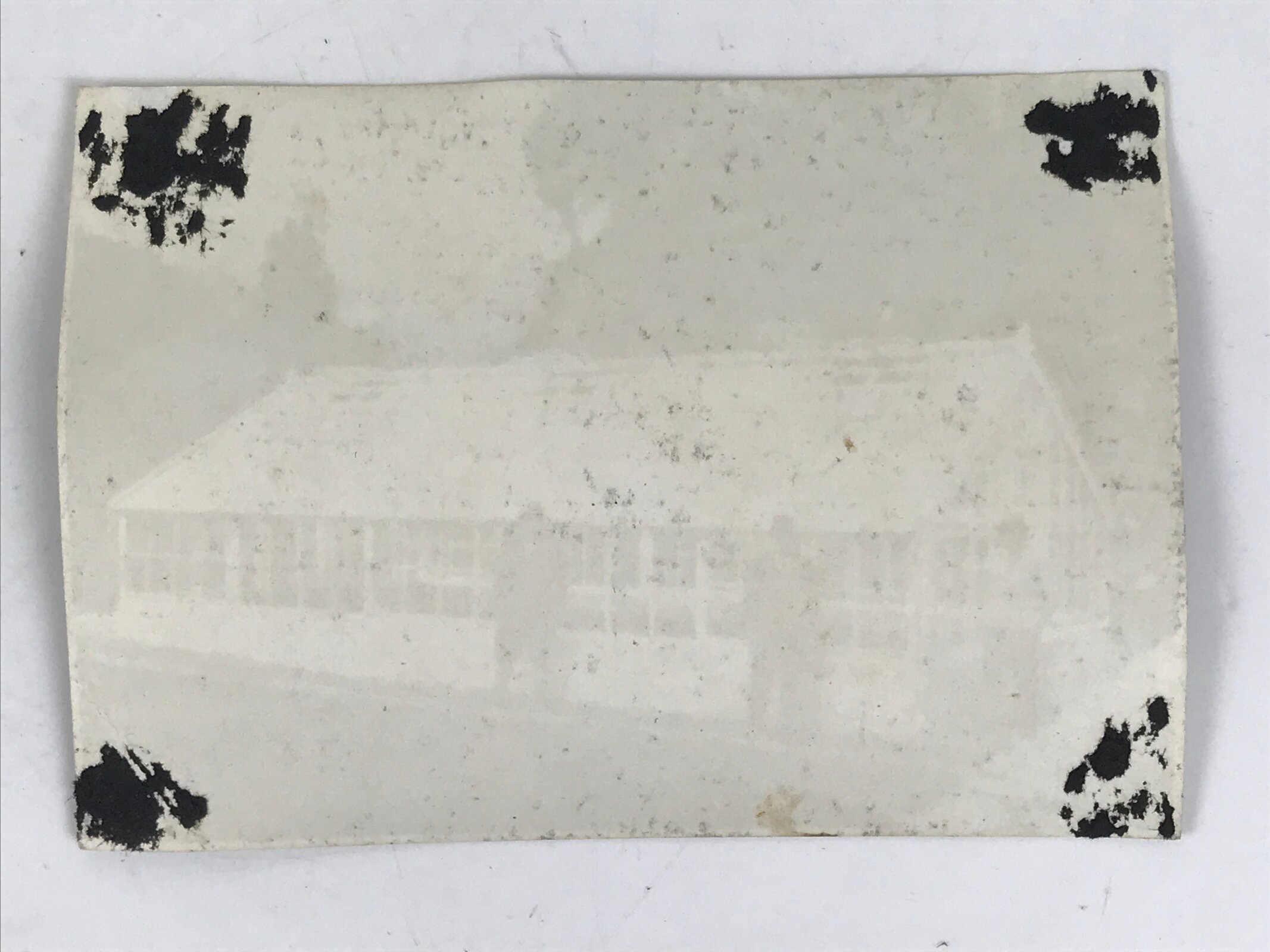 Japanese Showa Greenhouse Garden Photograph Vtg Daily Life Men Black White PH91