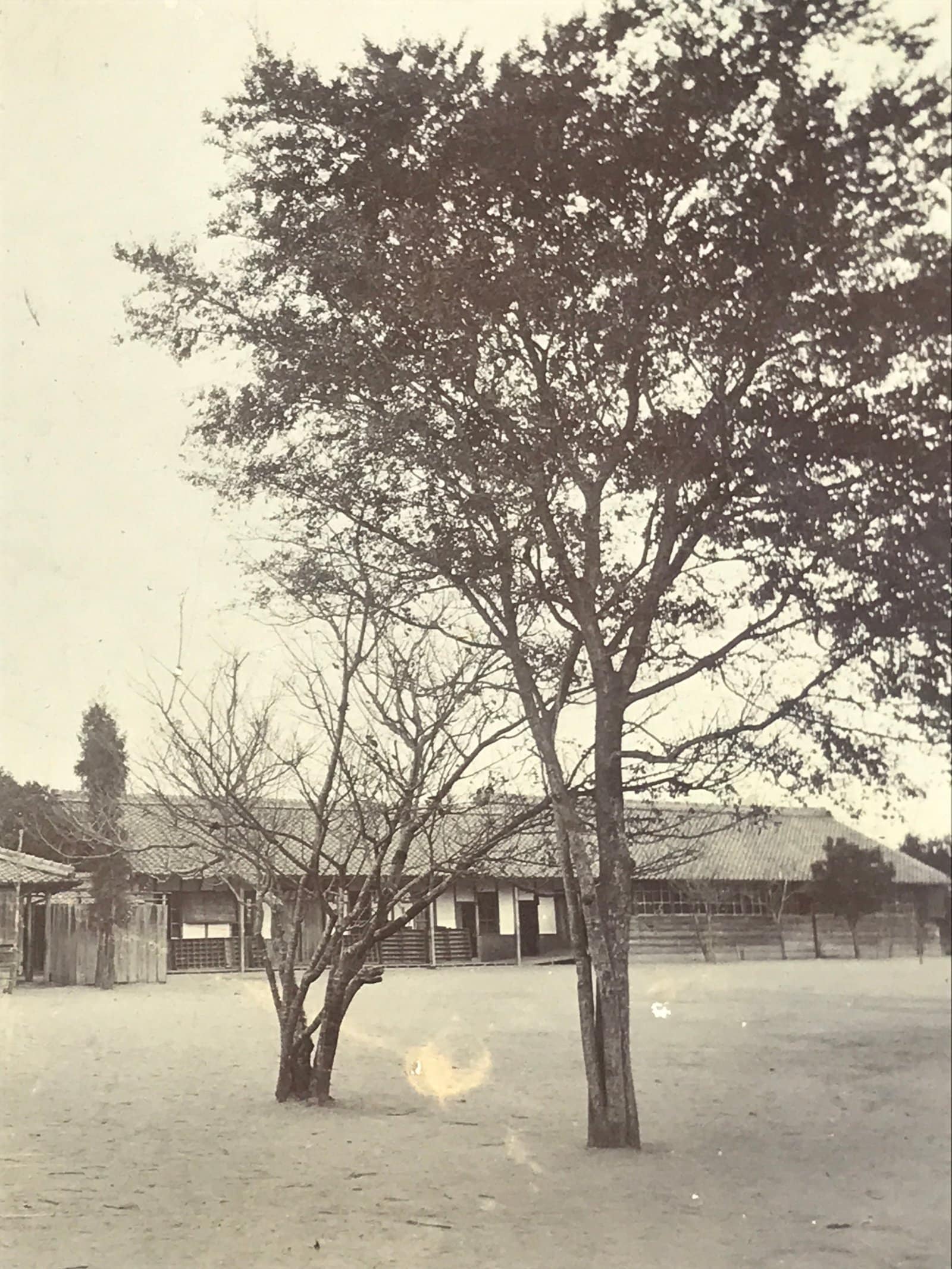 Japanese Showa Old Estate Photograph Vtg Buildings School Black White PH94