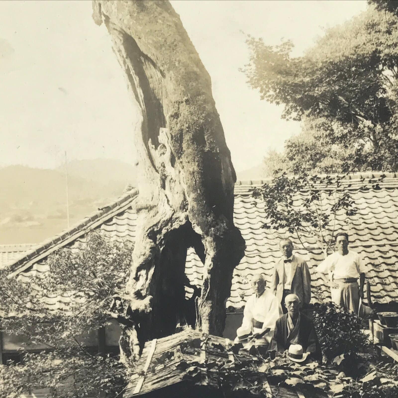 Japanese Showa Old Tree Pruning Group Photograph Men Daily Life Black White PH86