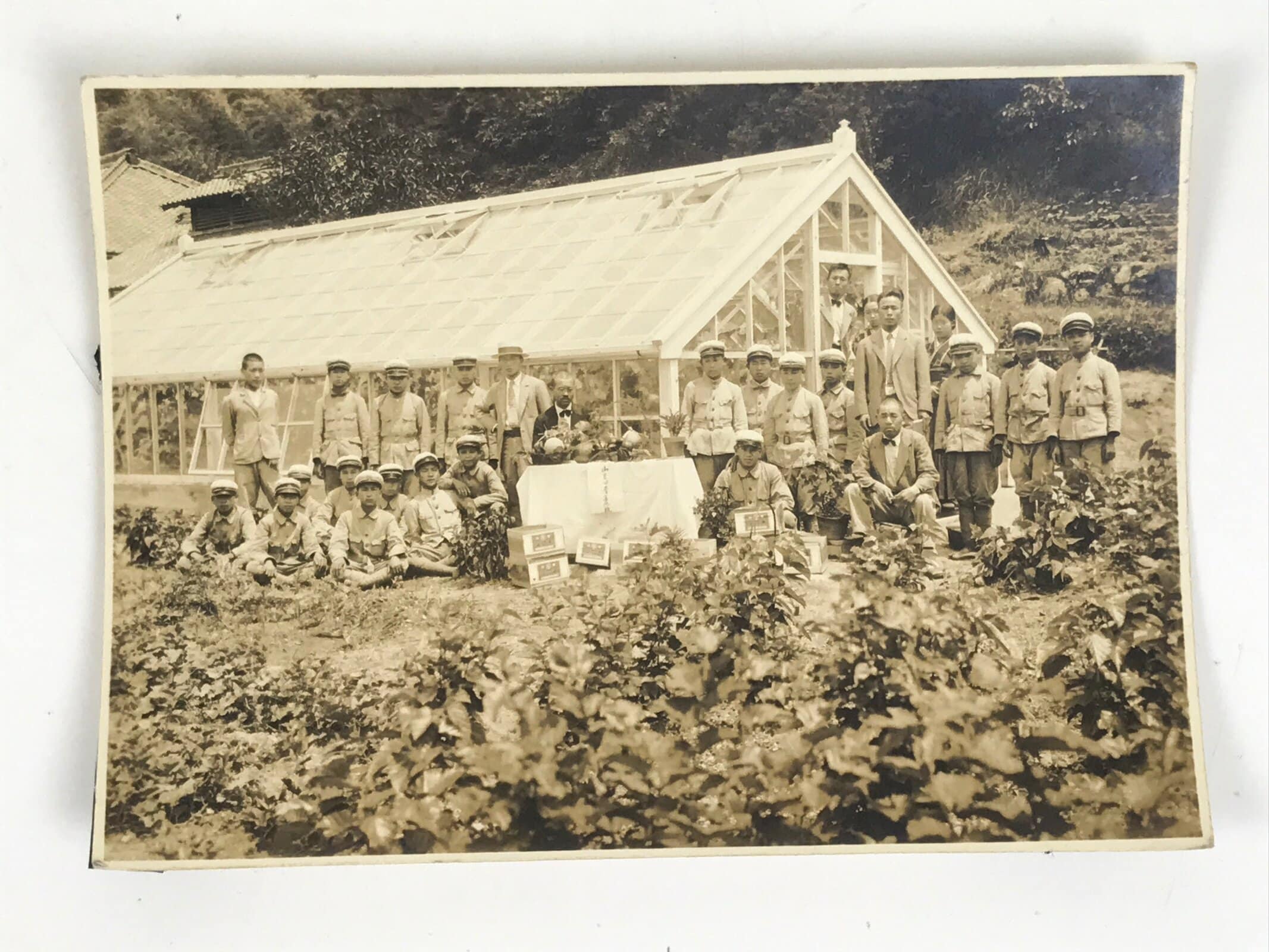 Japanese Showa School Boys Group Photograph Vtg Daily Life Gardening Sepia PH82