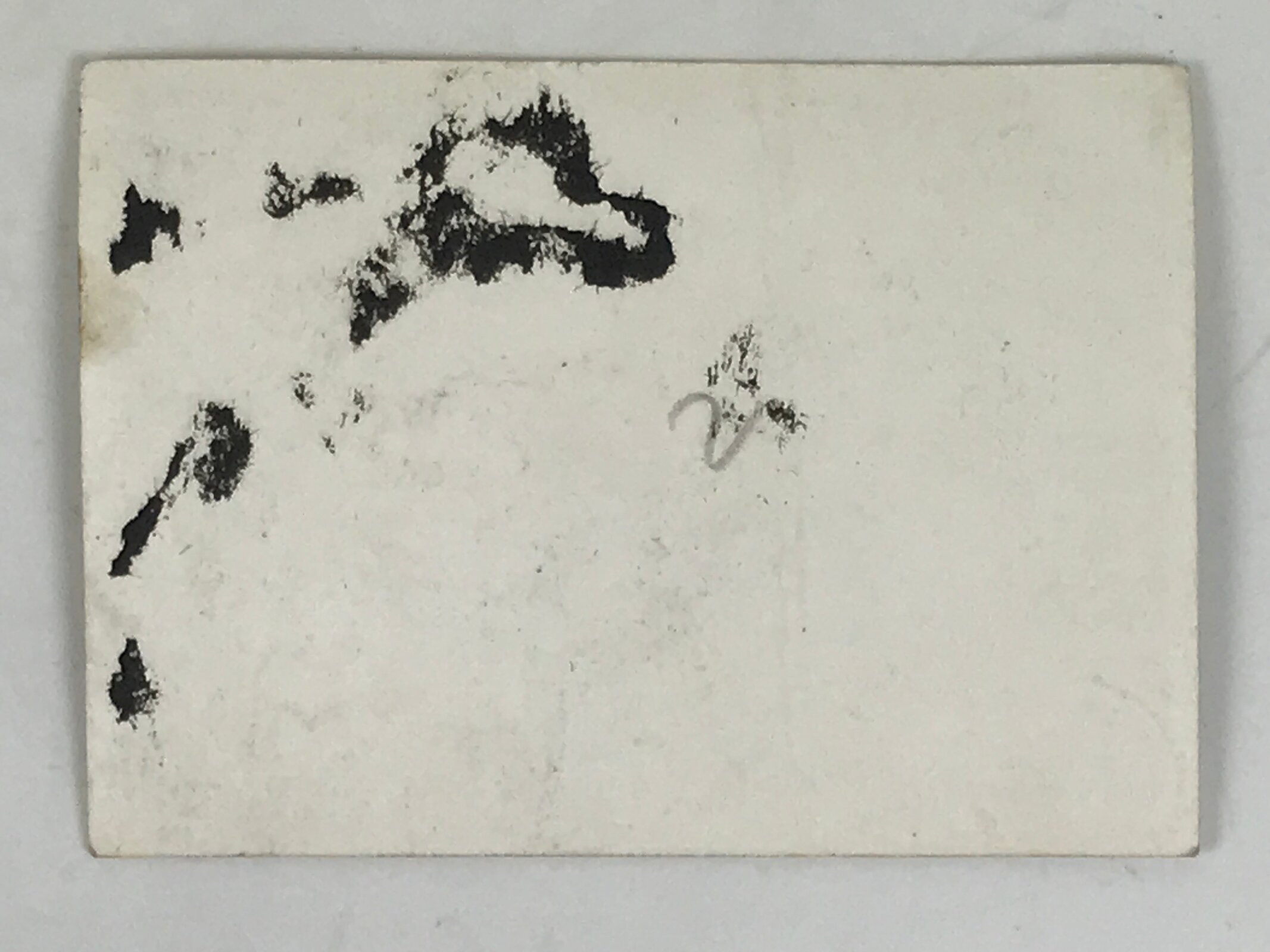 Japanese Showa Shinto Altar Ceremony Photograph Vtg Politician Black White PH241