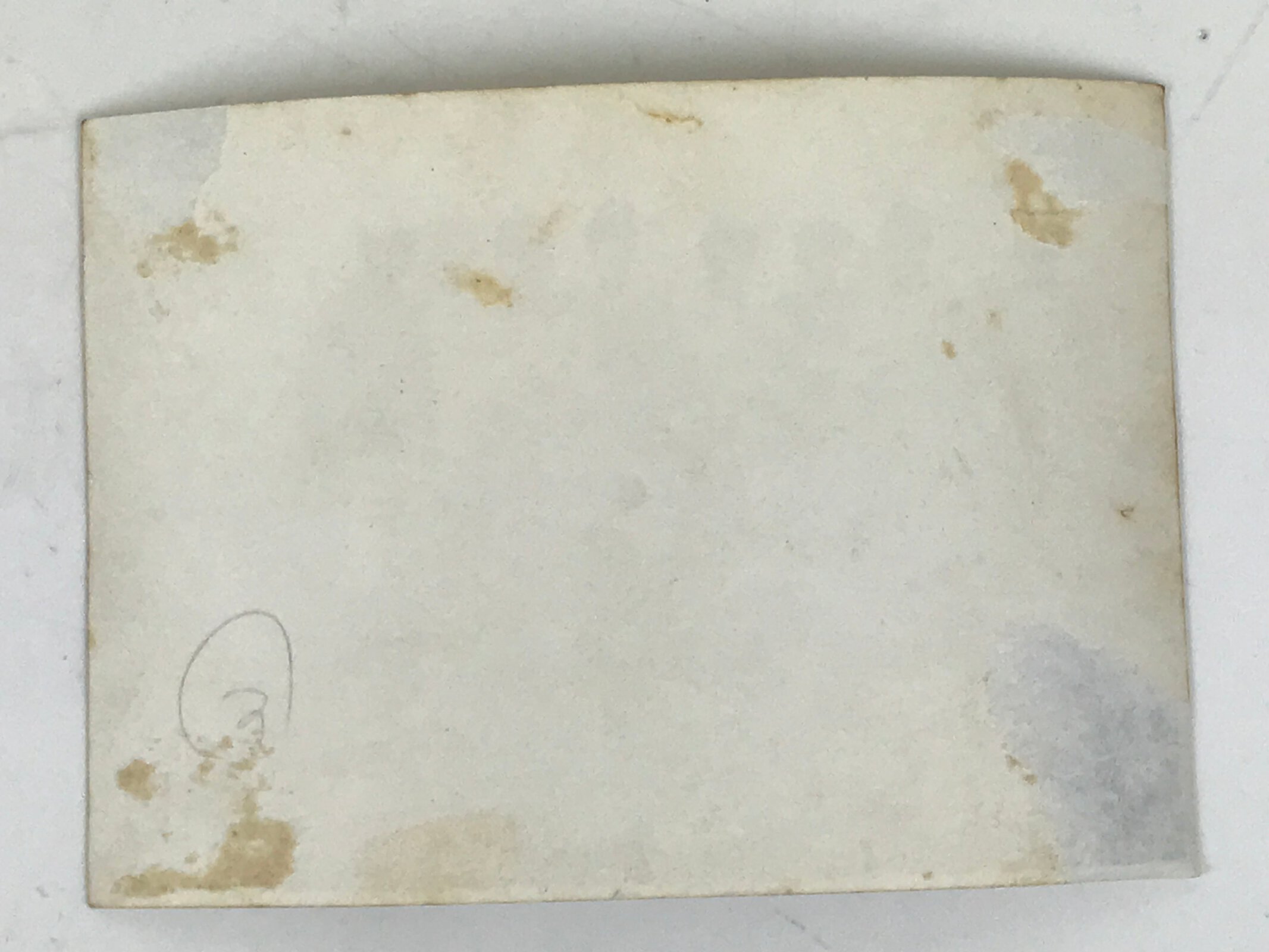 Japanese Showa Teen Boys Student Field Photograph Vtg Bones Skulls Sepia PH216