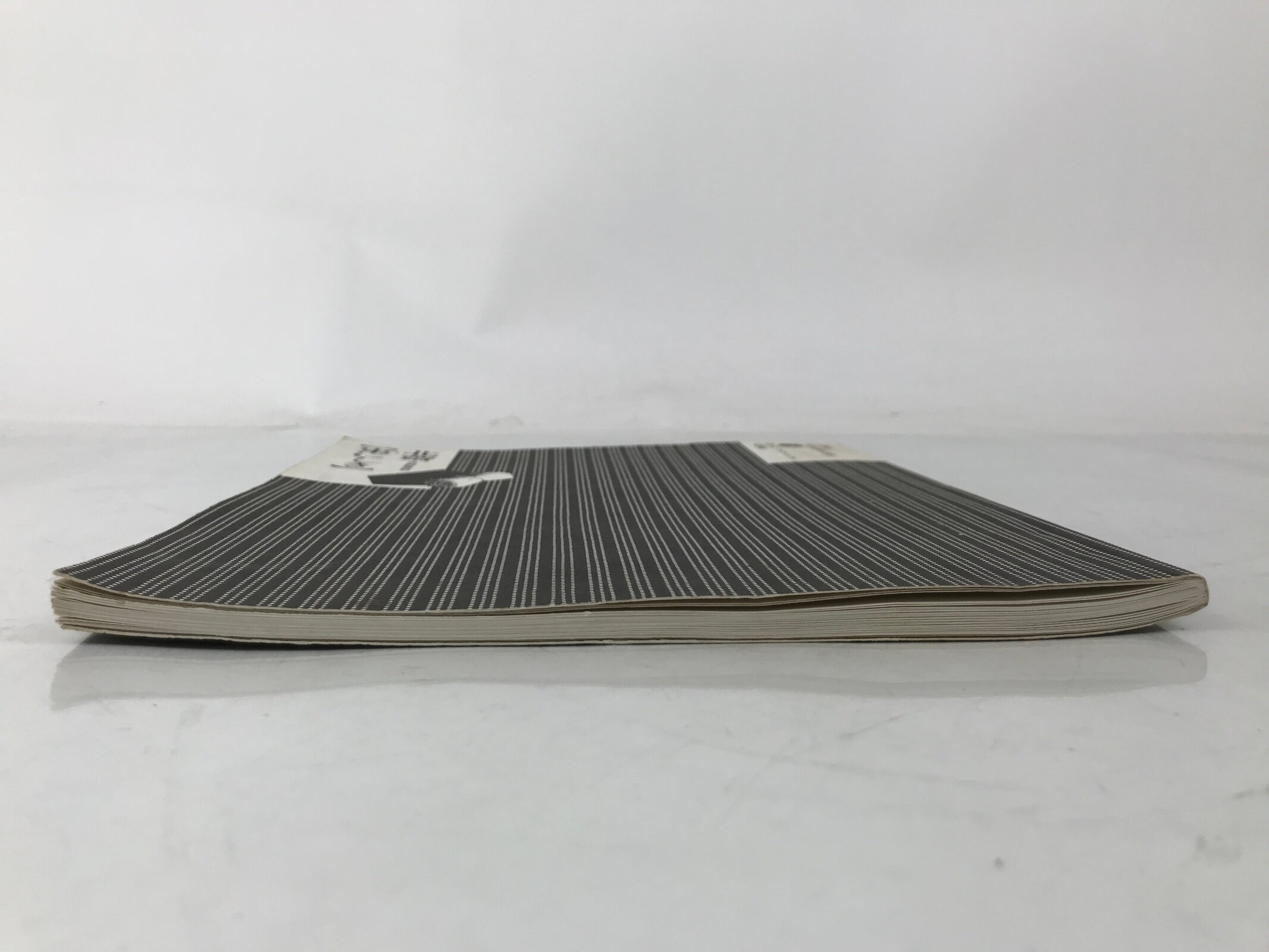 Japanese Shunga Ukiyoe Erotic Art Information Book Hokusai Woodblock Print FL408