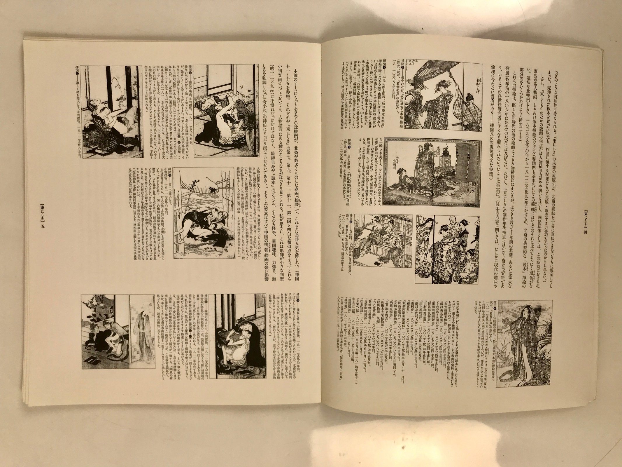 Japanese Shunga Ukiyoe Erotic Art Information Book Hokusai Woodblock Print FL408