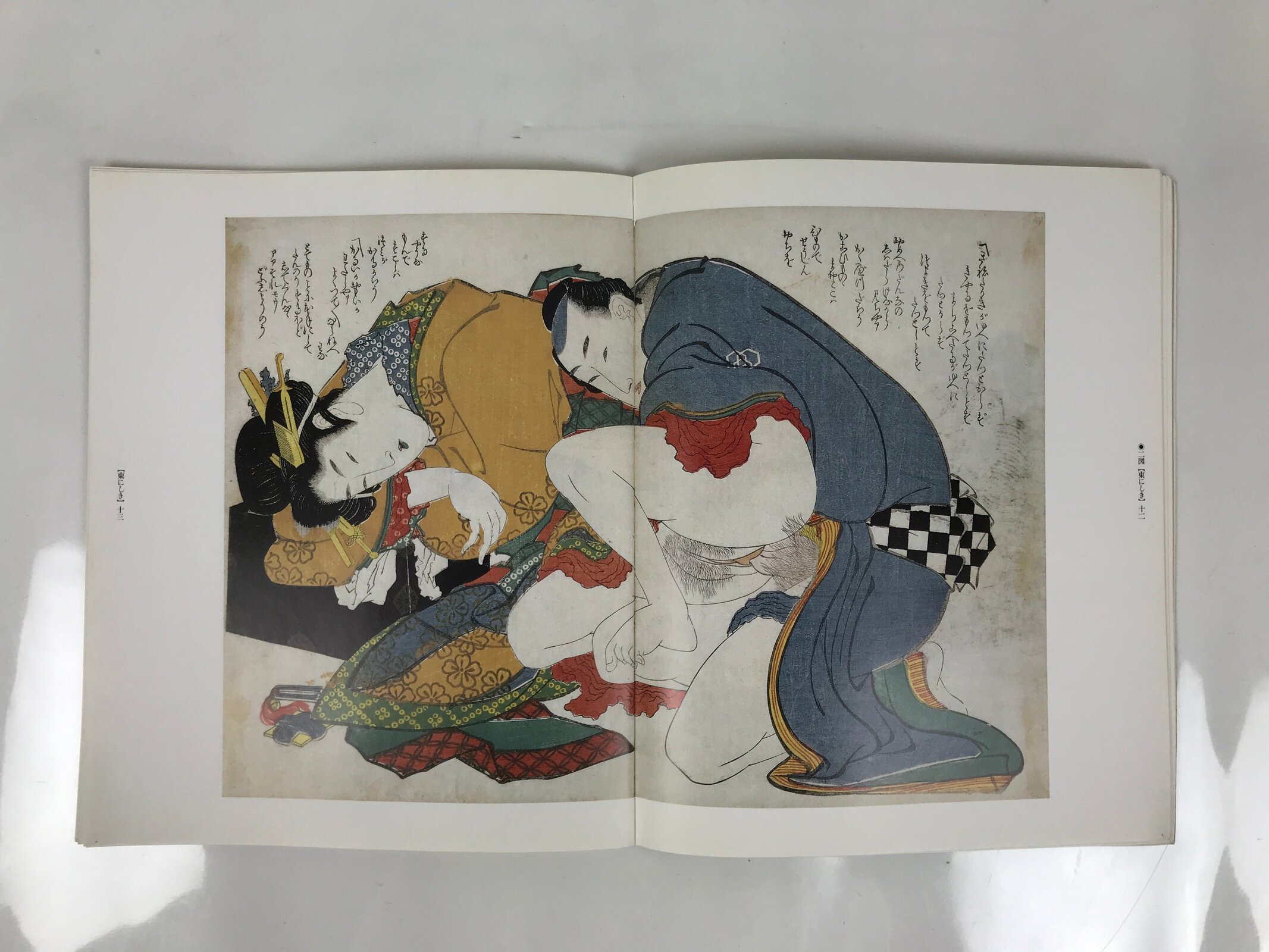 Japanese Shunga Ukiyoe Erotic Art Information Book Hokusai Woodblock Print FL408