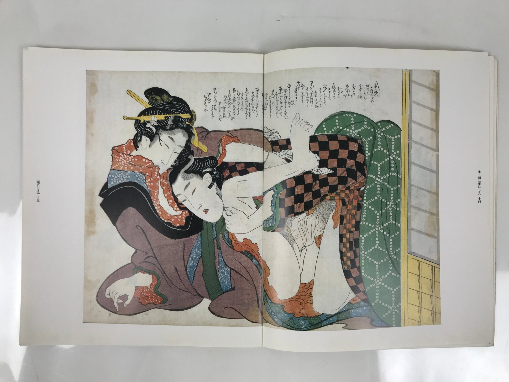 Japanese Shunga Ukiyoe Erotic Art Information Book Hokusai Woodblock Print FL408