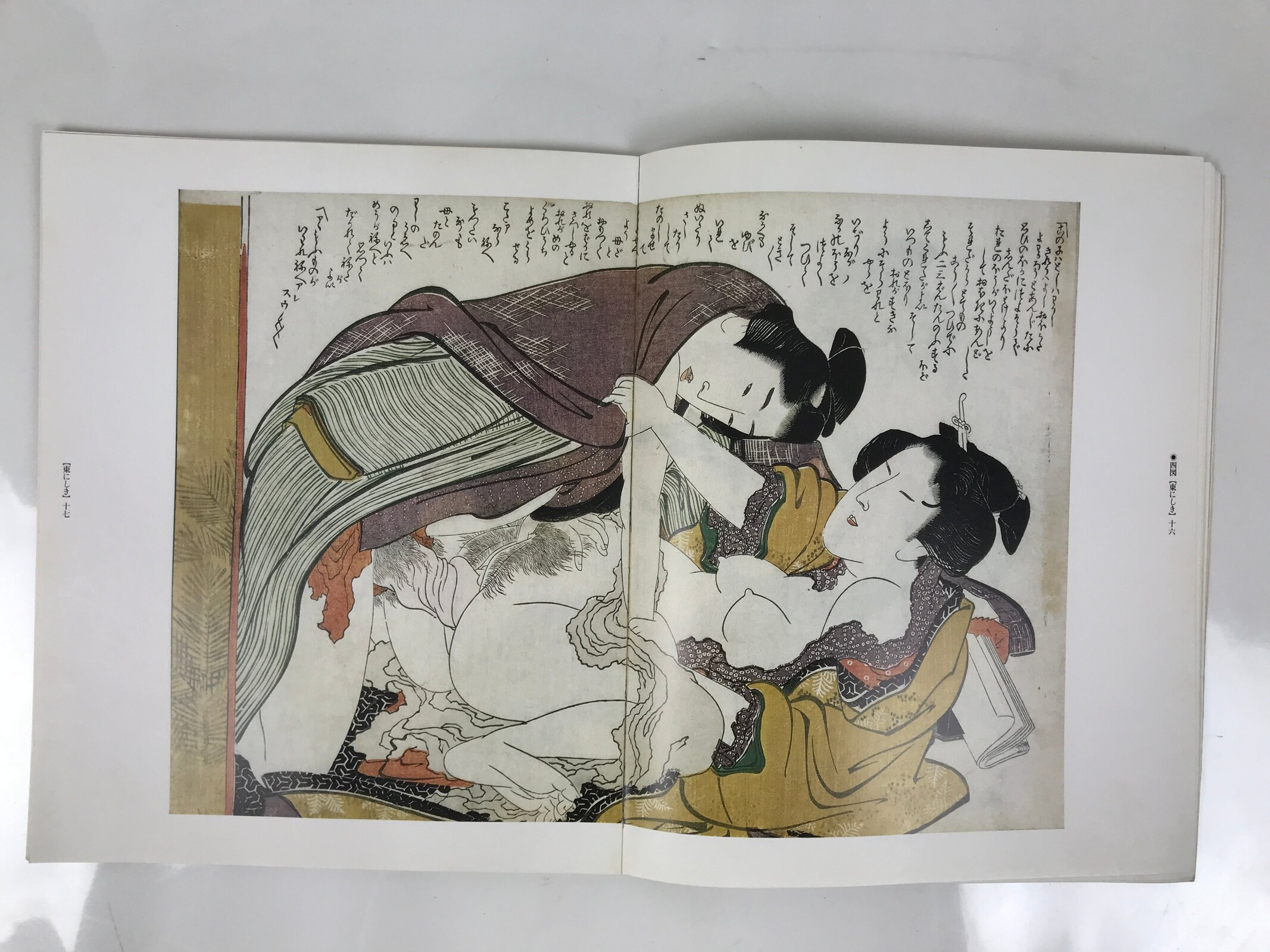 Japanese Shunga Ukiyoe Erotic Art Information Book Hokusai Woodblock Print FL408