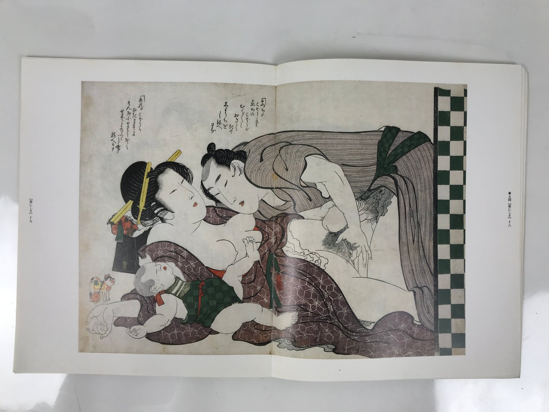 Japanese Shunga Ukiyoe Erotic Art Information Book Hokusai Woodblock Print FL408