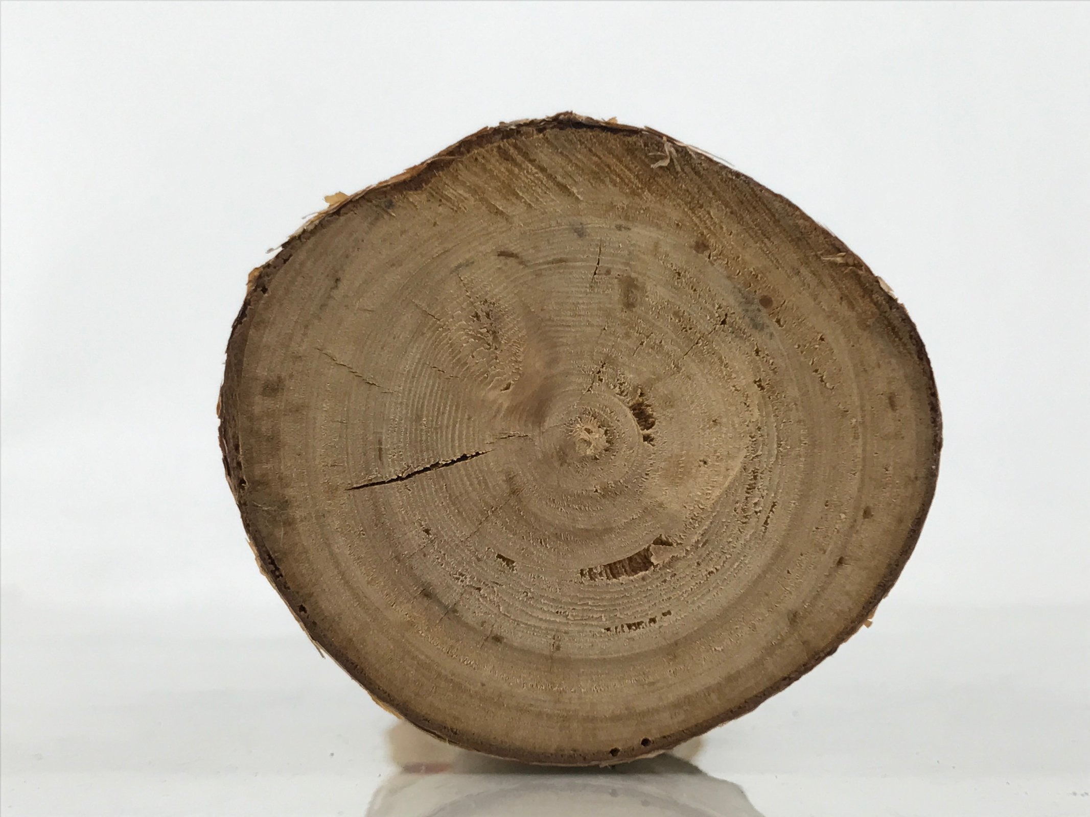 Japanese Souvenir Wooden Kokeshi Doll Vtg Landscape Poem Momiji Birch KF741