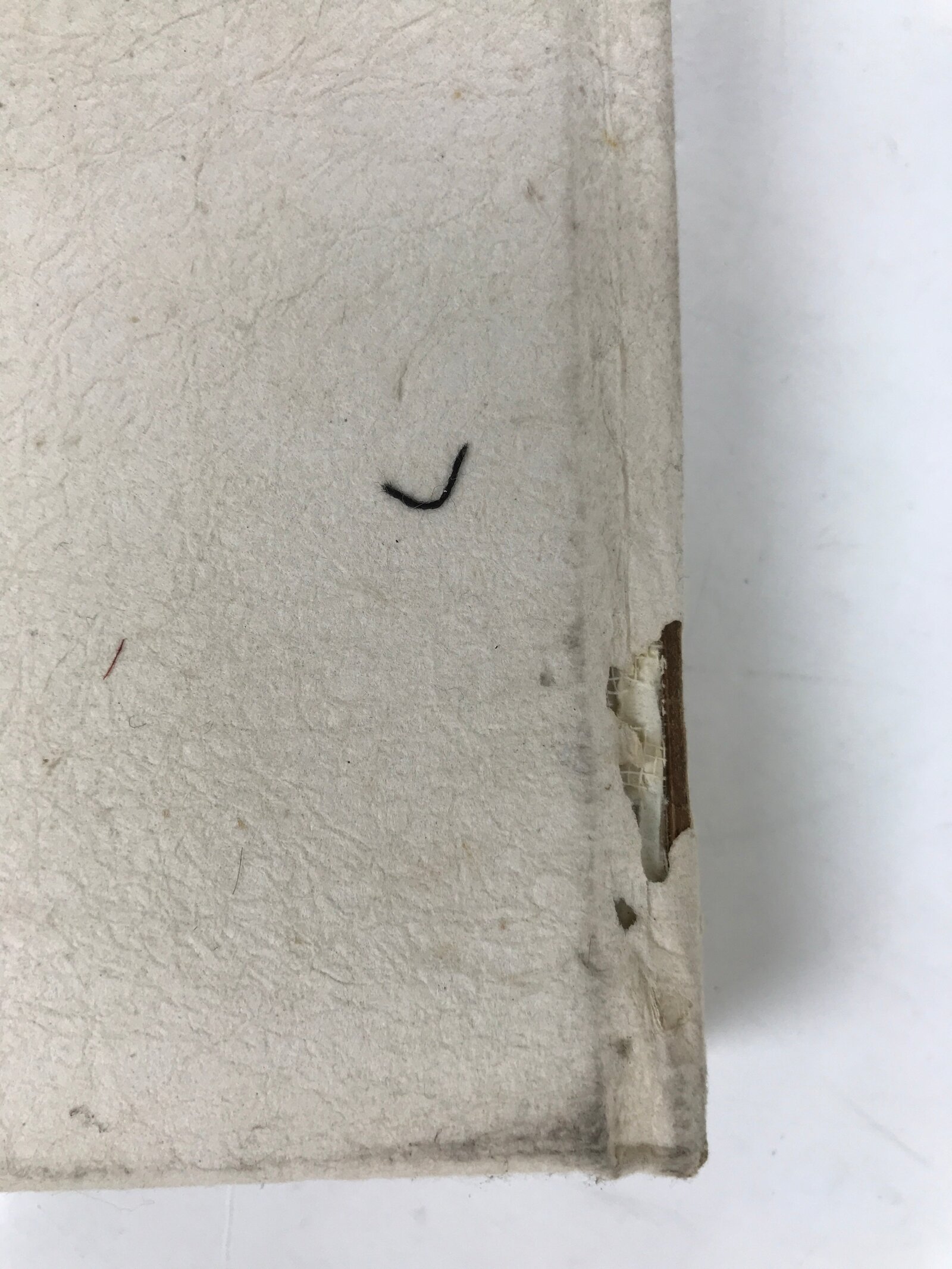 Japanese Ukiyoe Book Utamaro Bijinga Vtg Woodblock Print Shunga Erotic Art FL406