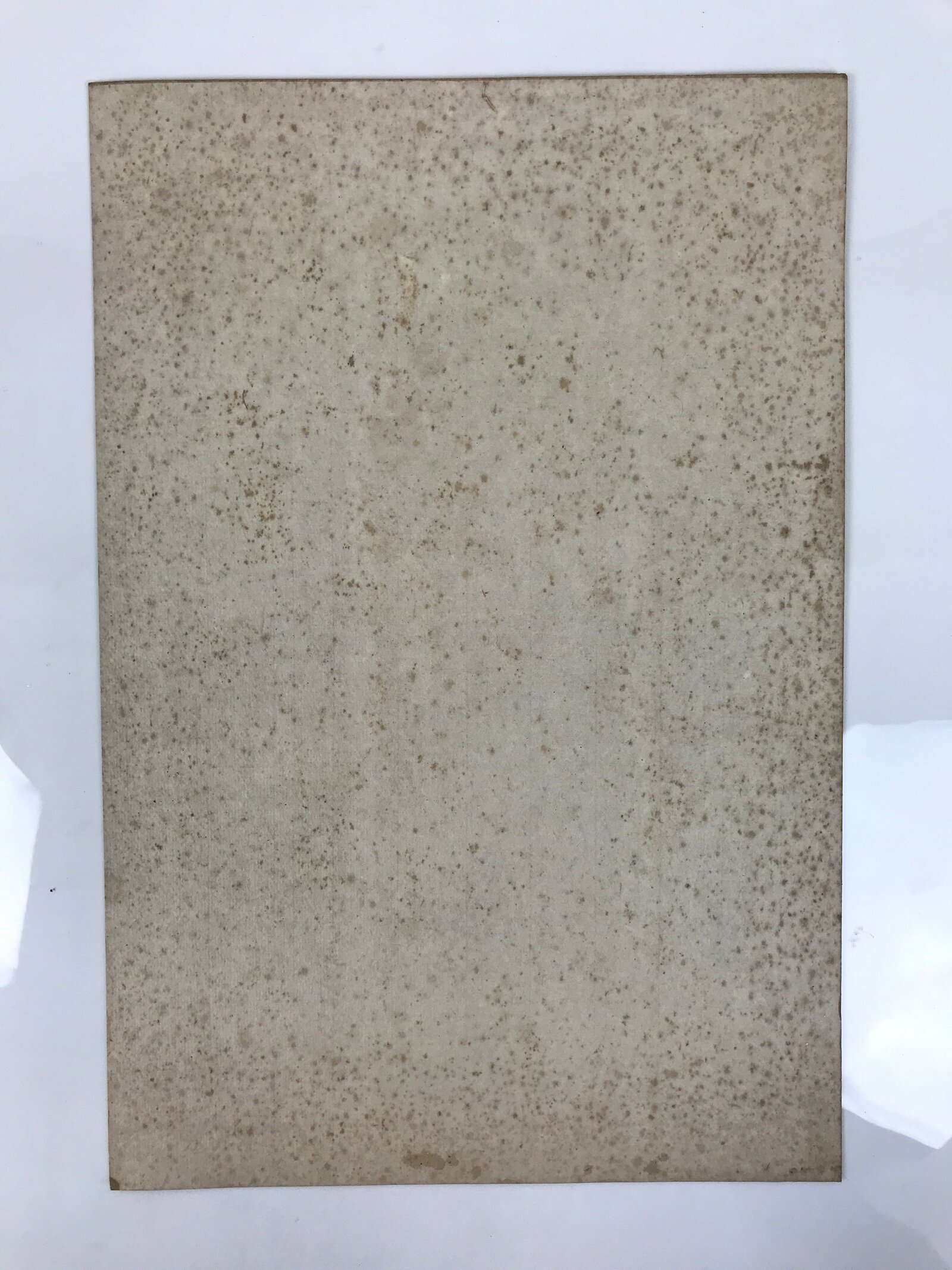 Japanese Ukiyoe Oiran Portrait Eishi Bijinga Geisha Woodblock Print Color FL454