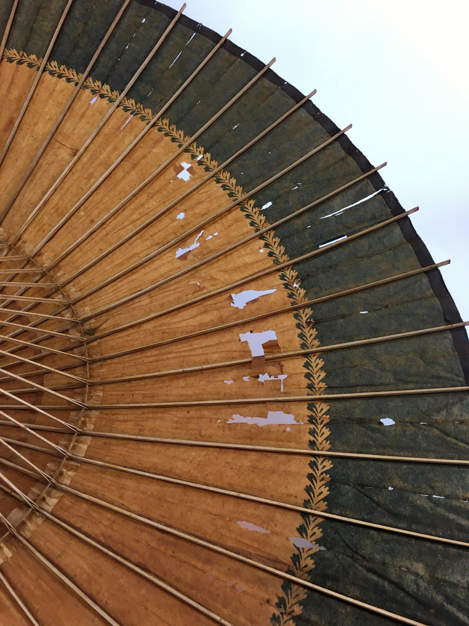 Japanese Umbrella Parasol Wagasa Bangasa Geisha Bamboo Paper Orange JK378