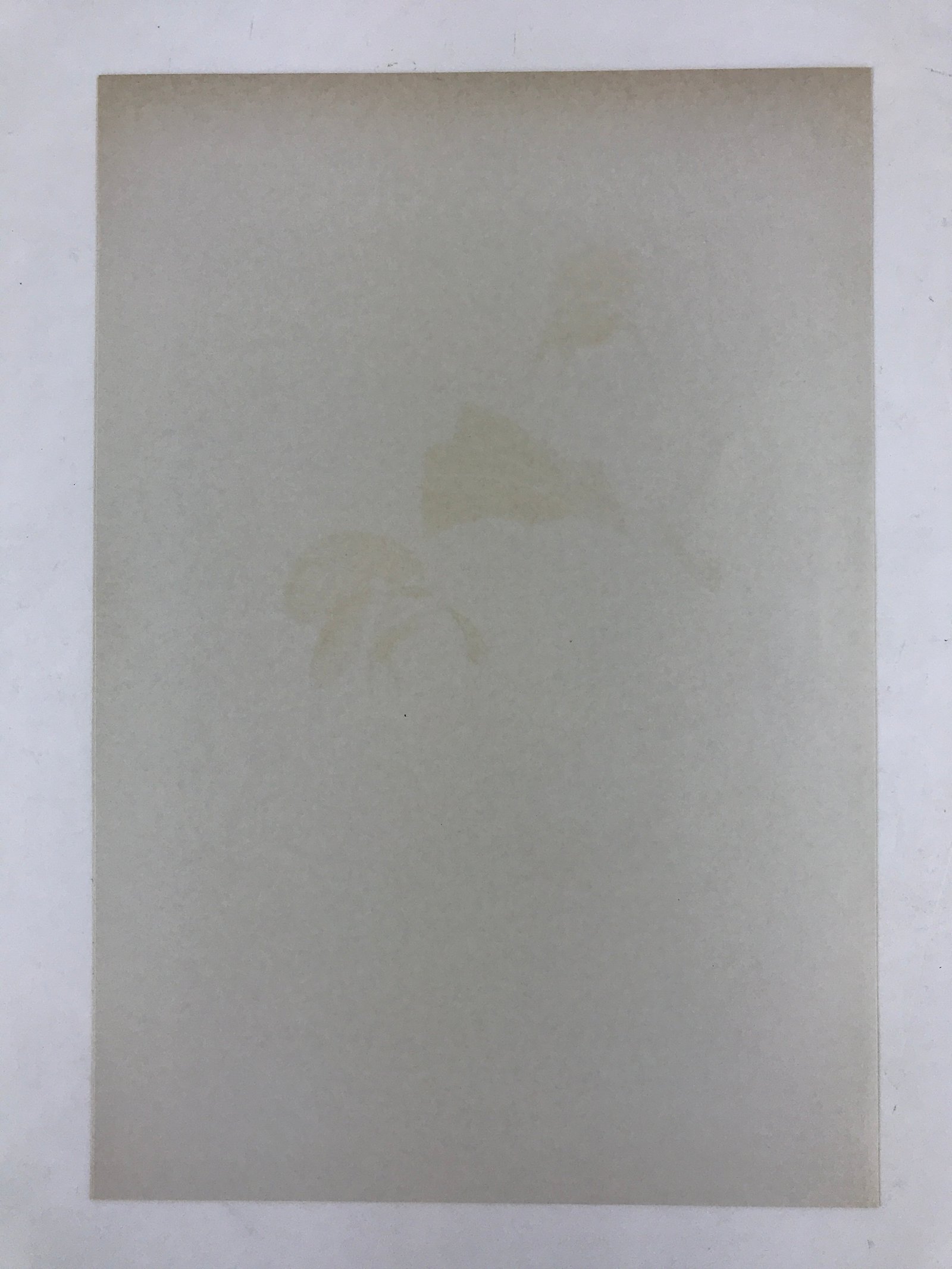 Japanese Utamaro Selection Ukiyoe Woodblock Printing Hanga Reading Letter FL198