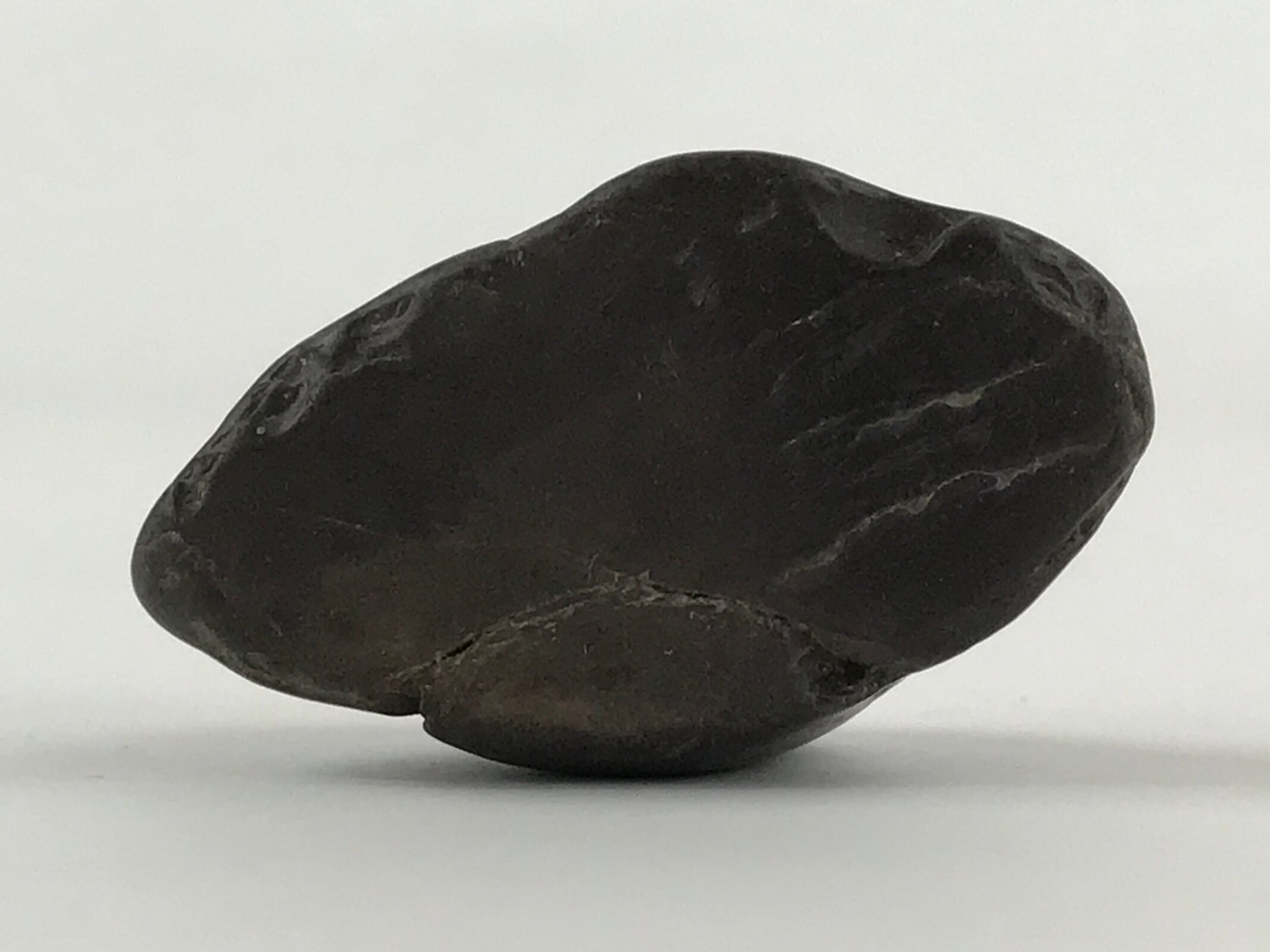 Japanese Viewing Stone Zen Buddhist Vtg Suiseki Characters Small Black JK560