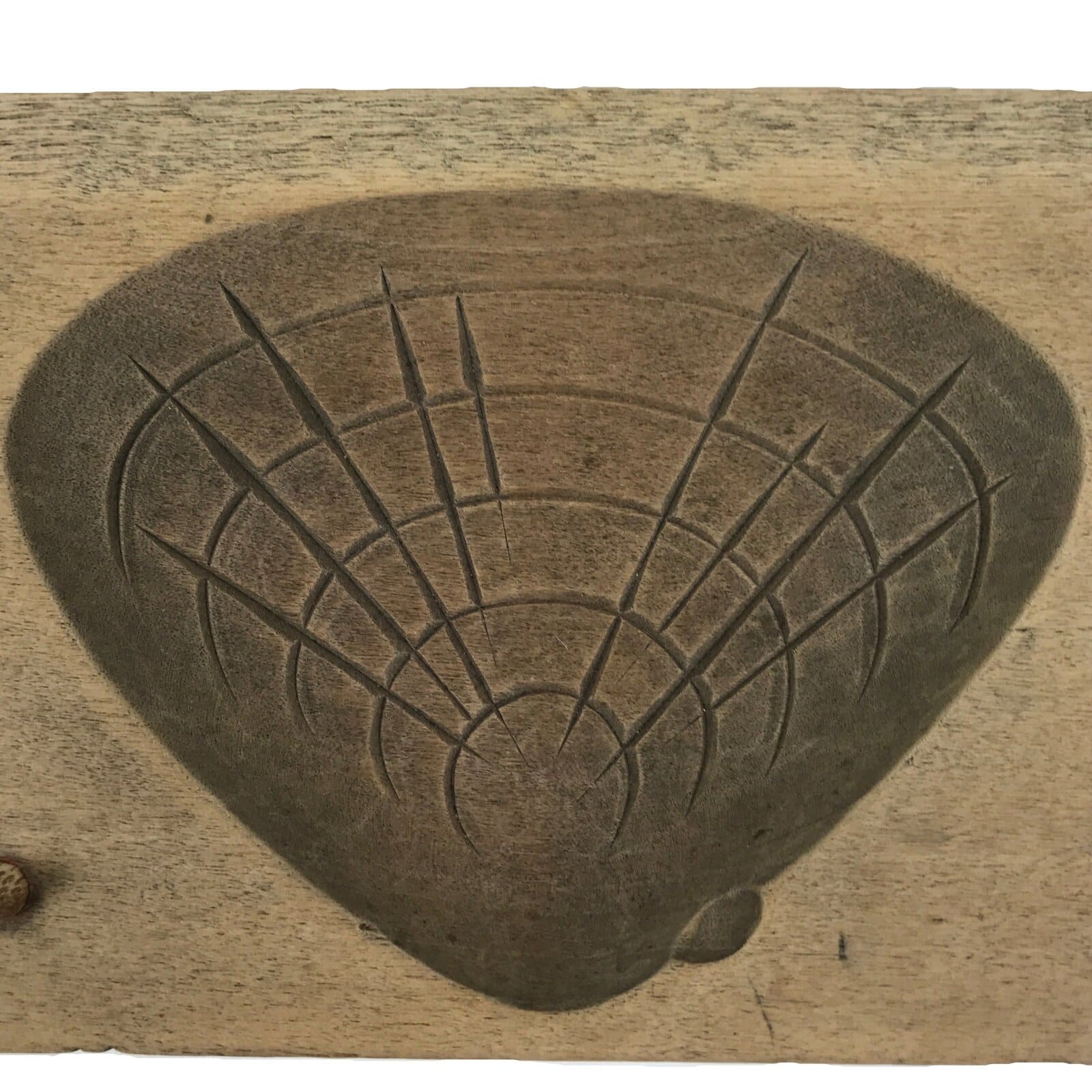 Japanese Wood Carved Kashigata Cake Mold Sweet Wagashi Hamaguri Clam Shell Kg800