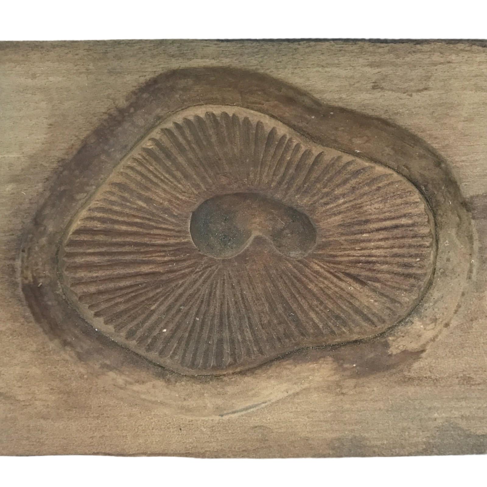 Japanese Wood Carved Kashigata Cake Mold Sweet Wagashi Shiitake Mushroom Kg602