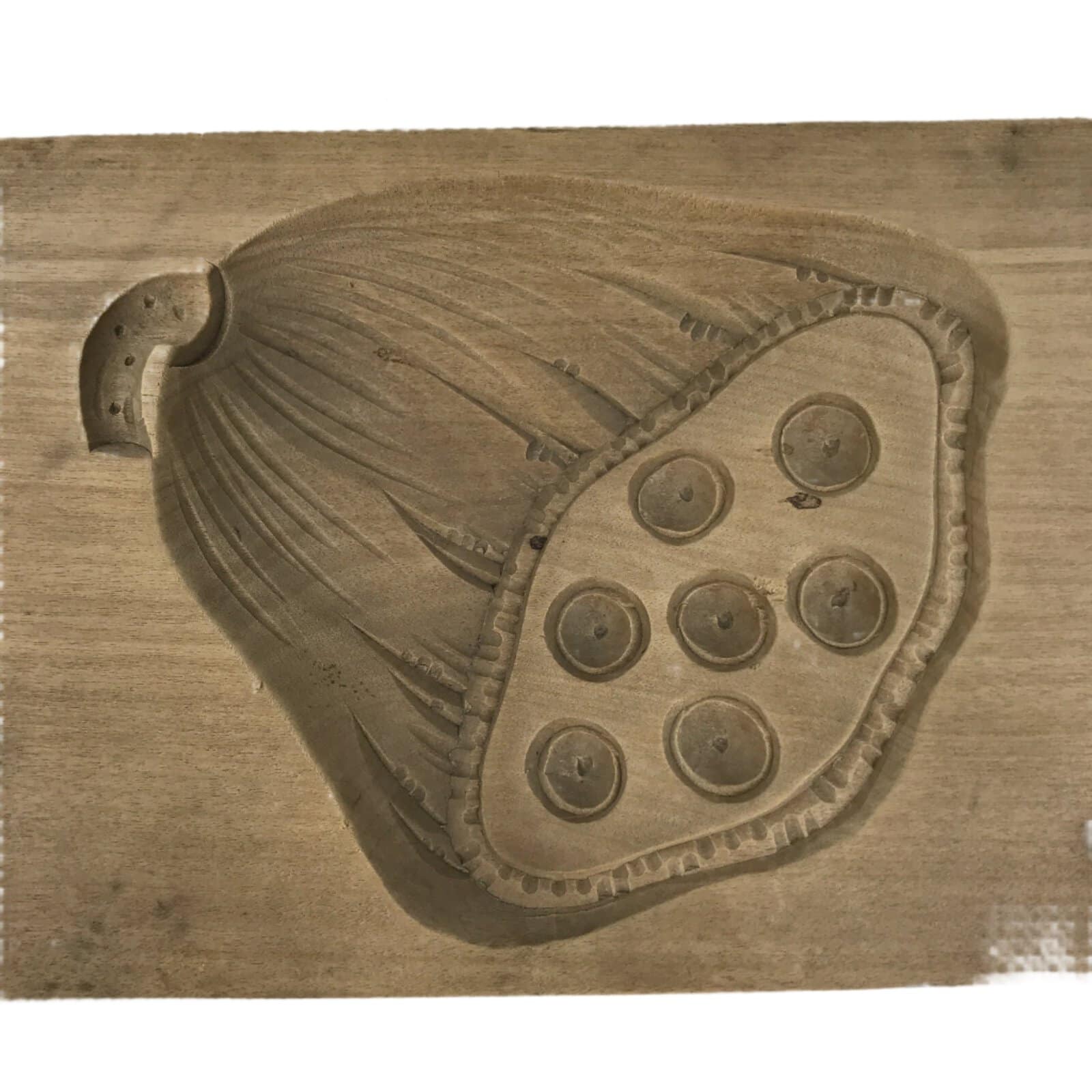 Japanese Wood Carved Kashigata Cake Mold Vtg Sweet Wagashi Lotus Seed Pod Kg616