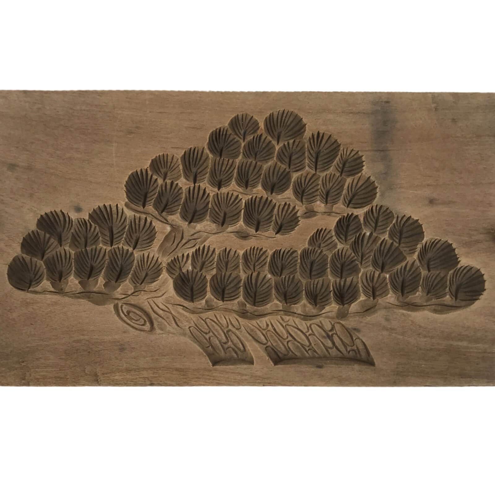 Japanese Wood Carved Kashigata Cake Mold Vtg Sweet Wagashi Matsu Pine Tree Kg614
