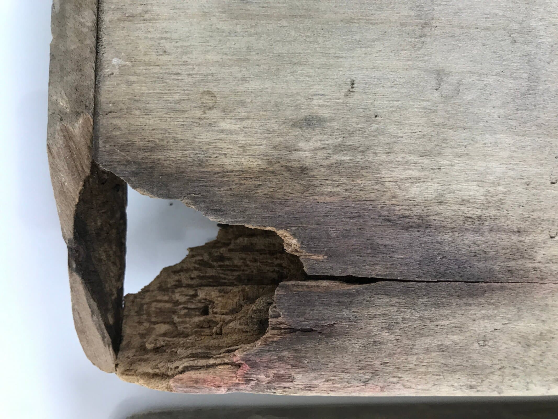 Japanese Wood Carved Kashigata Cake Mold Vtg Sweet Wagashi Tai Madai Fish Kg817