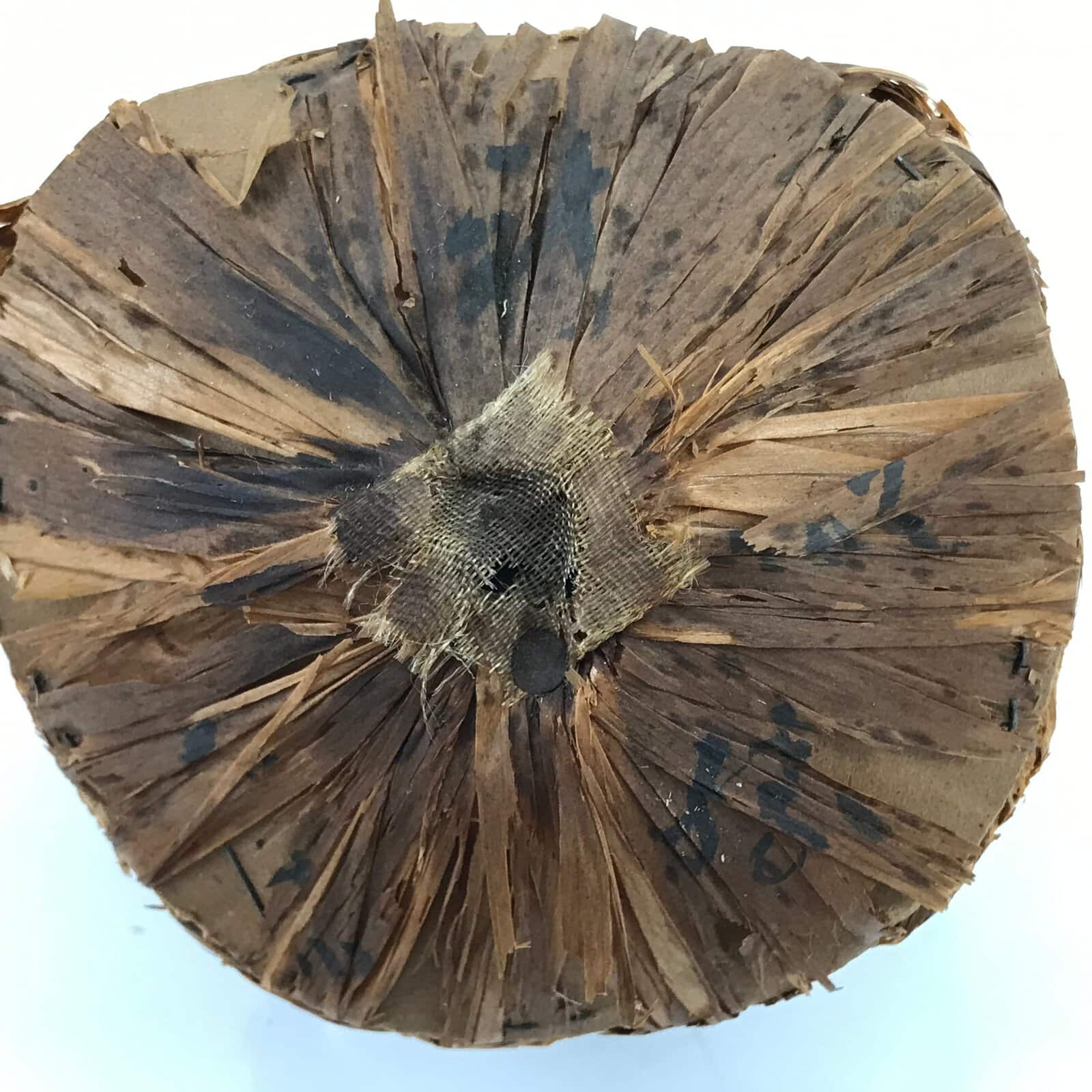 Japanese Wood Kokeshi Doll Vtg Tanuki Raccoon Dog Brown Folk Art KF698