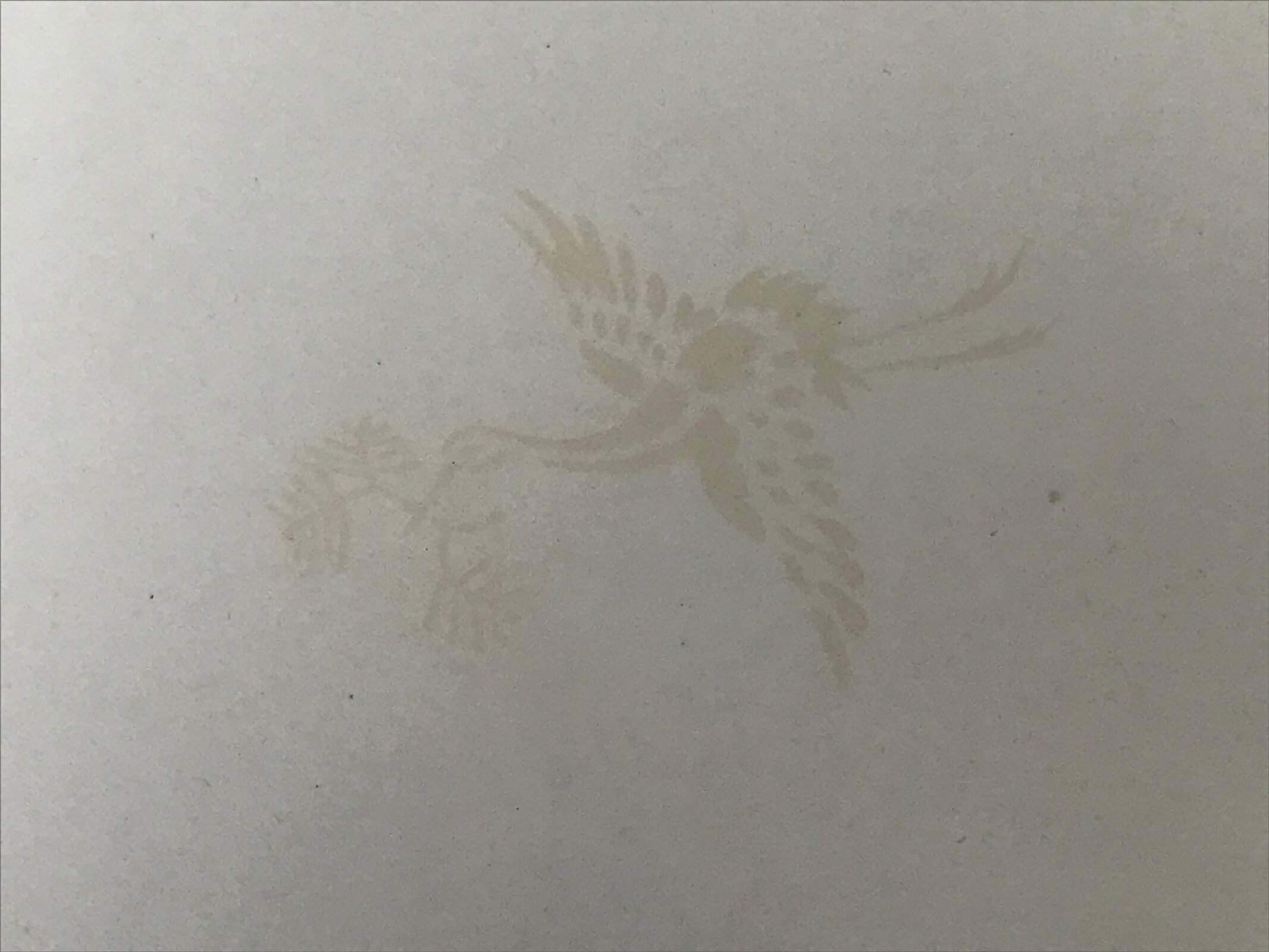 Japanese Woodblock Print Reproduction Vtg Woman Dog Kimono Ukiyoe Gold P394