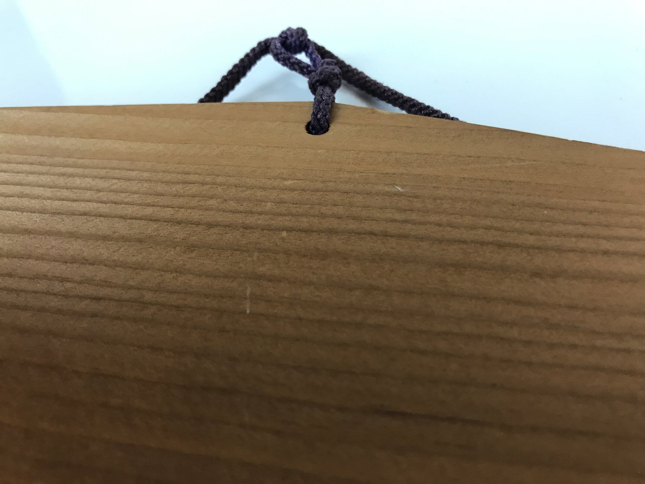 Japanese Wooden Shrine Plaque Ema Vtg Woman Reading Hanging Wish Shinto EM45